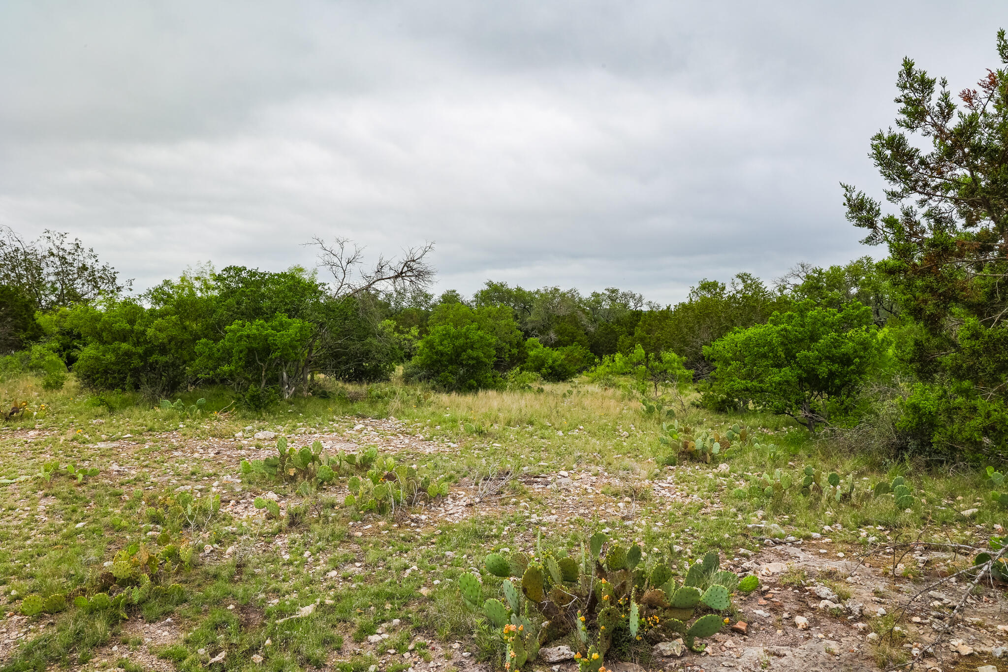 669 Private Road 3523 Property Photo 9