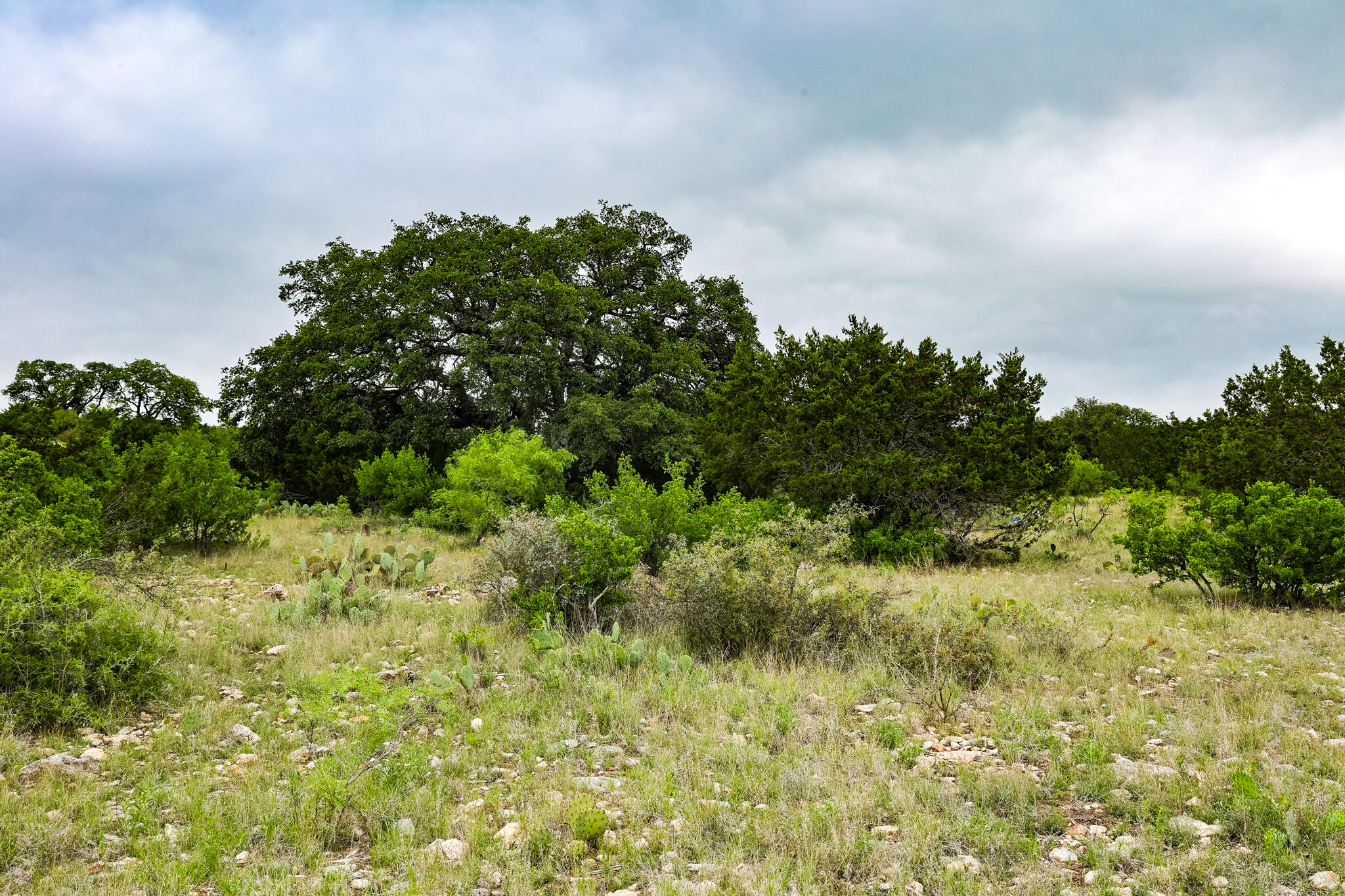 669 Private Road 3523 Property Photo 10