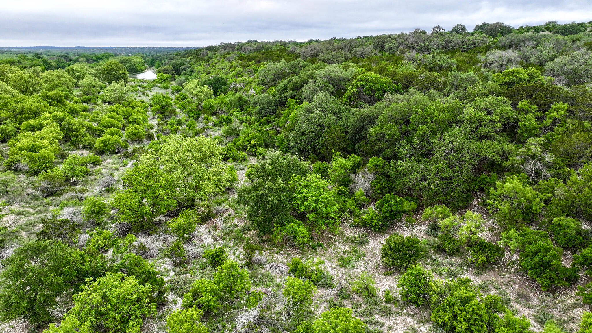 669 Private Road 3523 Property Photo 18