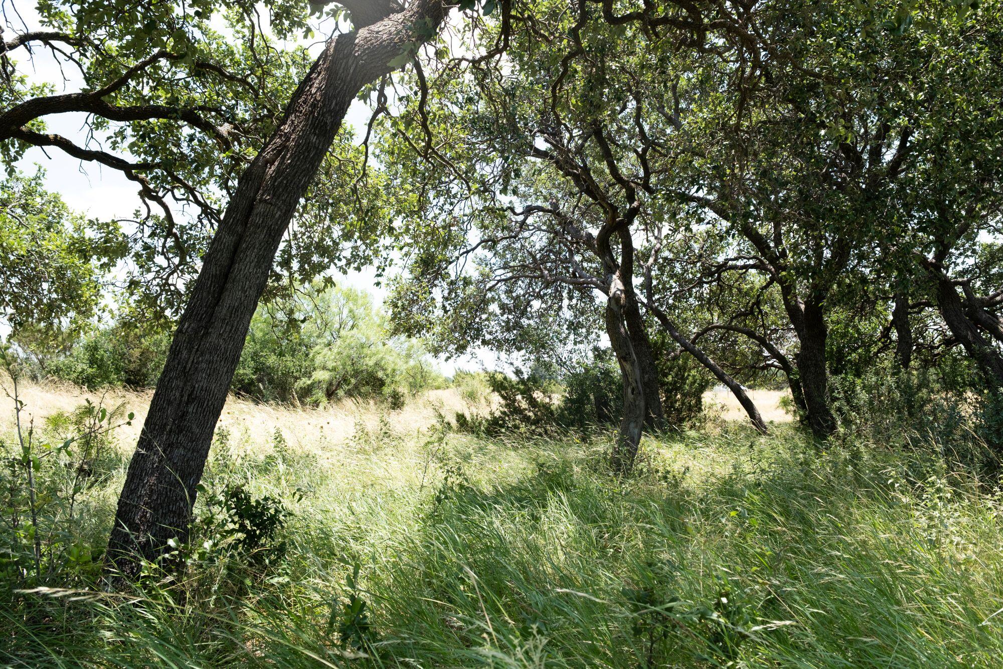 000 Cr 300 Property Photo 1