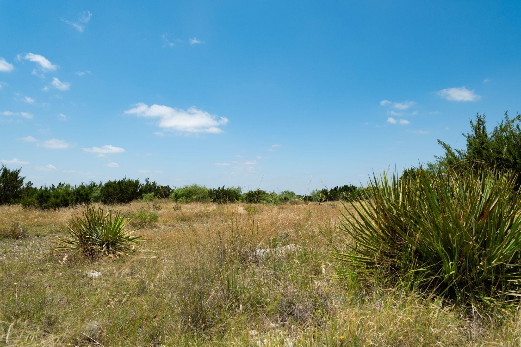 000 Cr 300 Property Photo 4