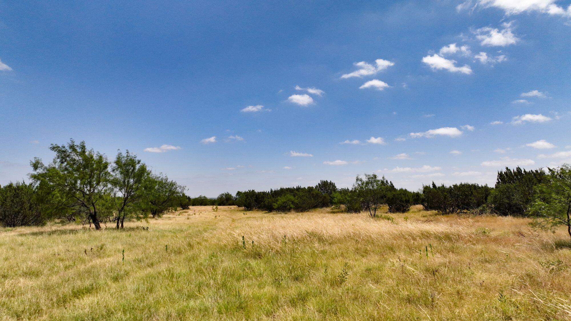 000 Cr 300 Property Photo 6