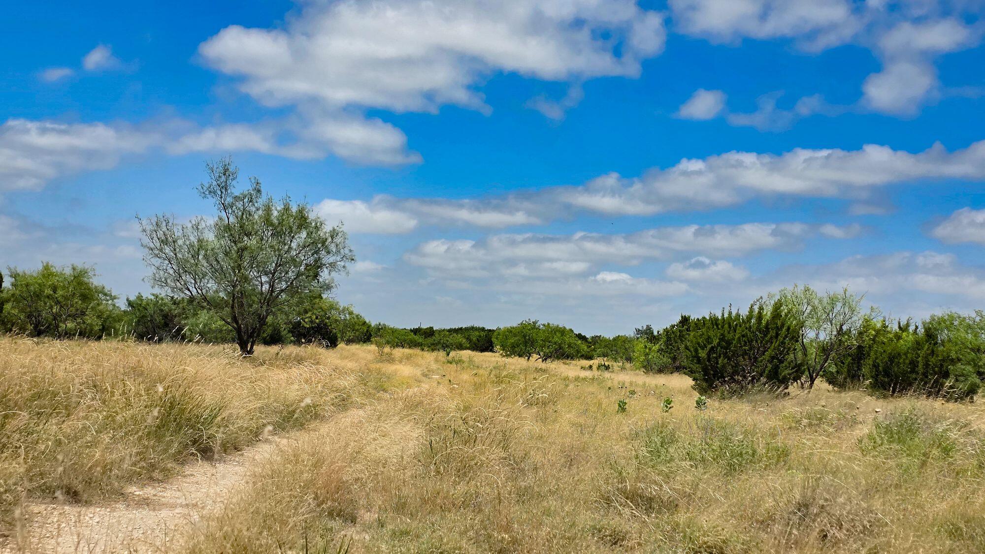 000 Cr 300 Property Photo 7