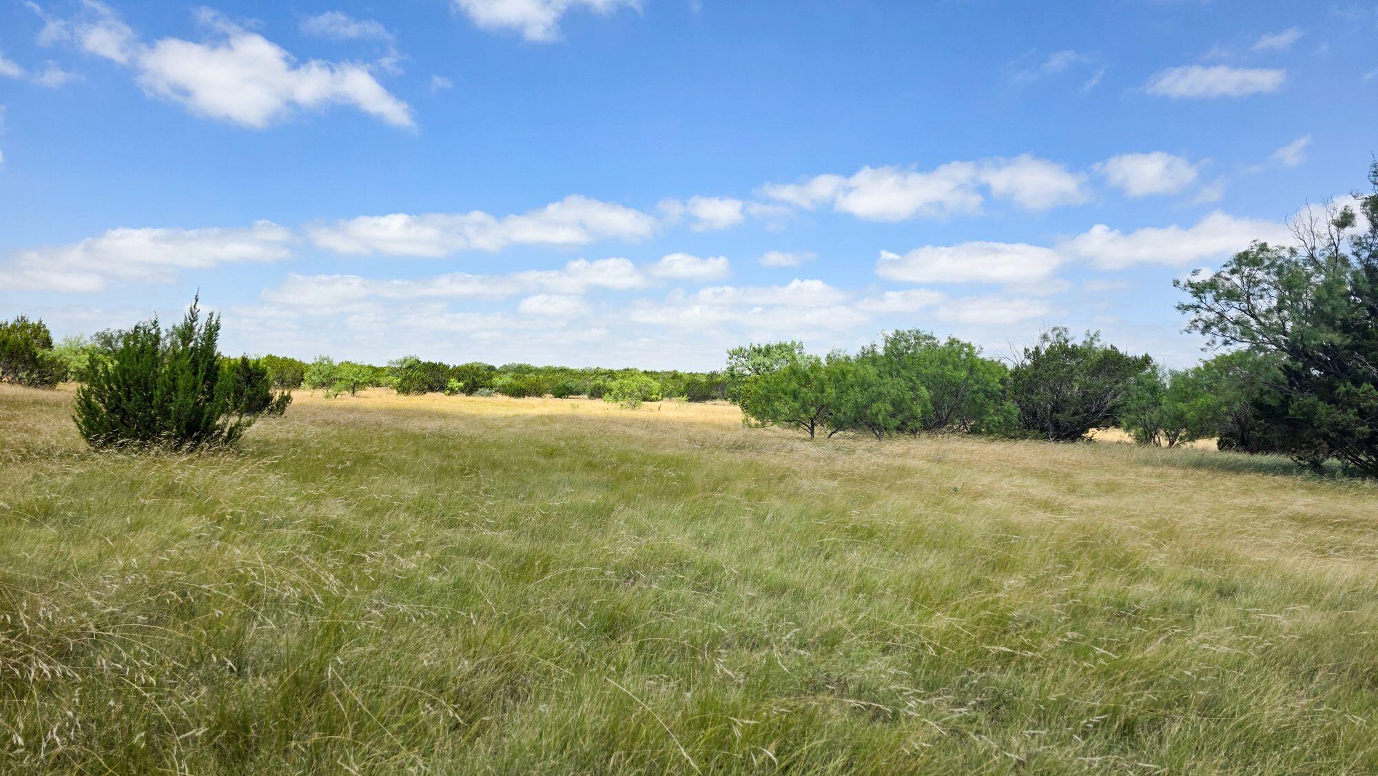 000 Cr 300 Property Photo 8