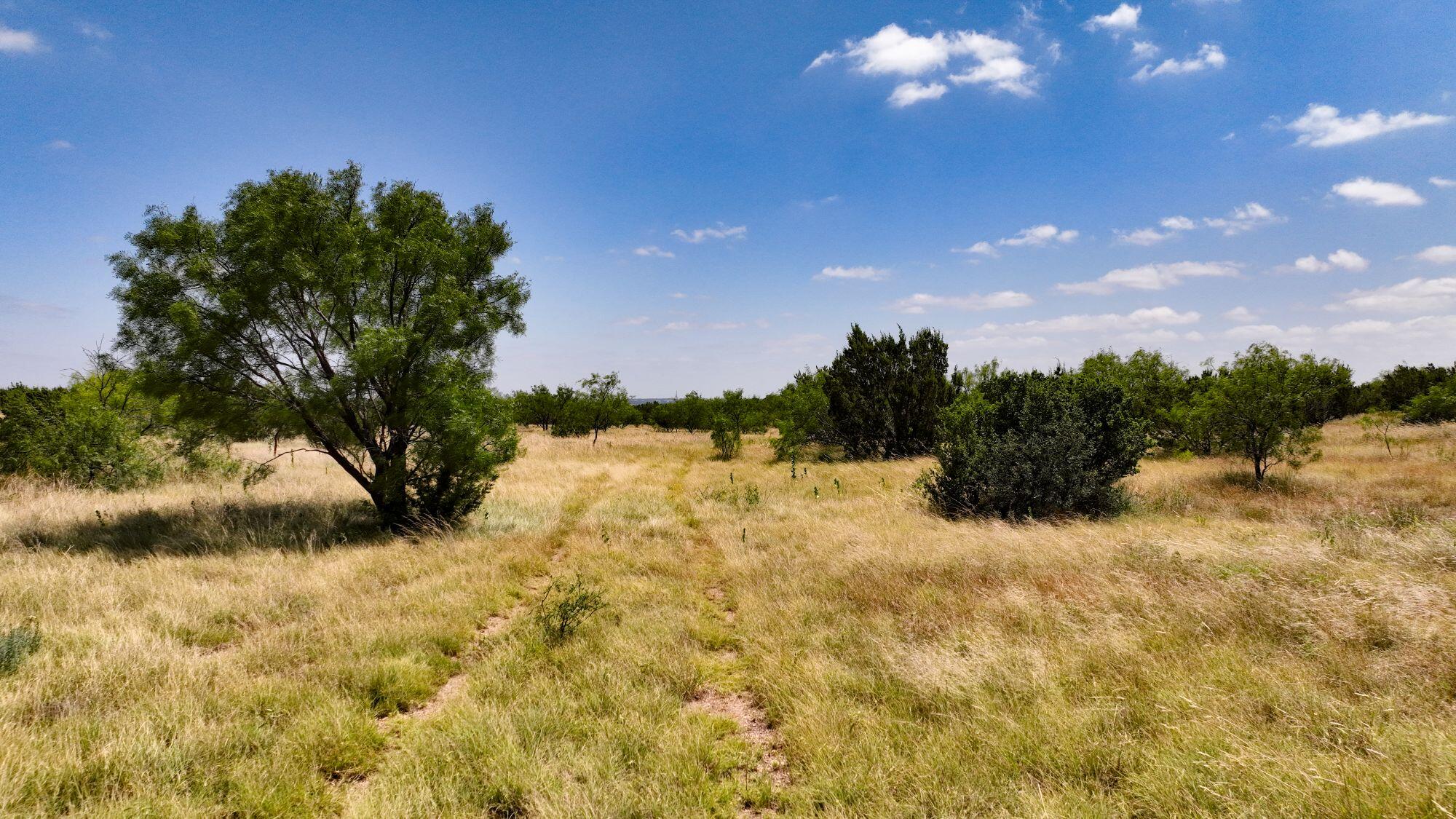 000 Cr 300 Property Photo 9