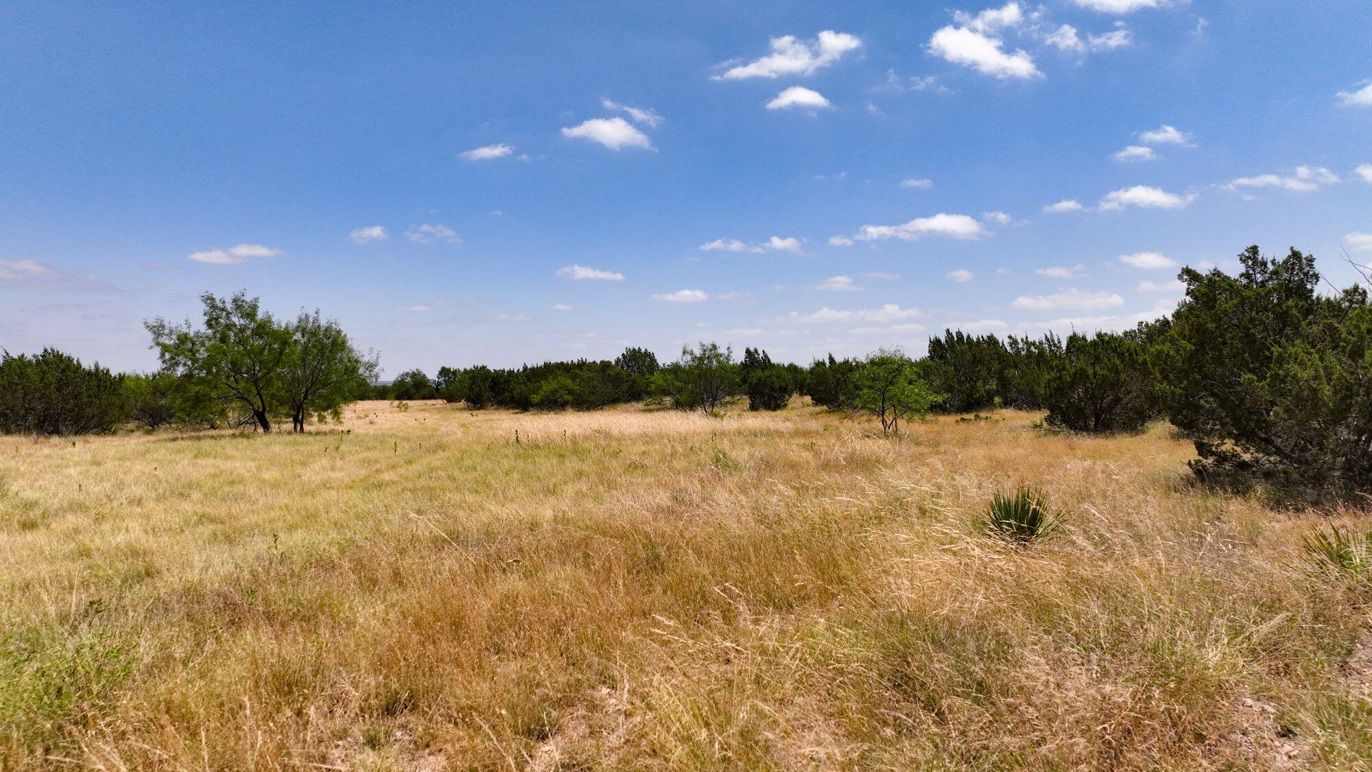 000 Cr 300 Property Photo 10