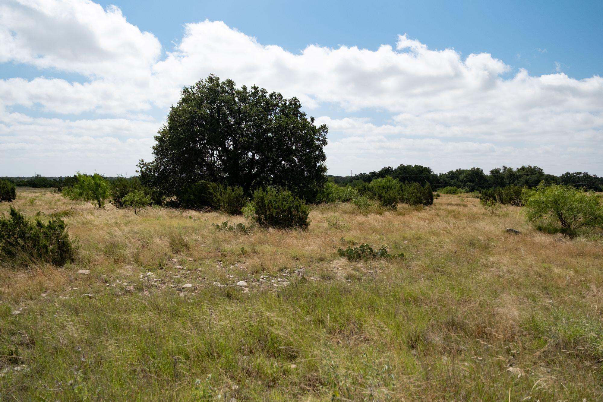 000 Cr 300 Property Photo 11