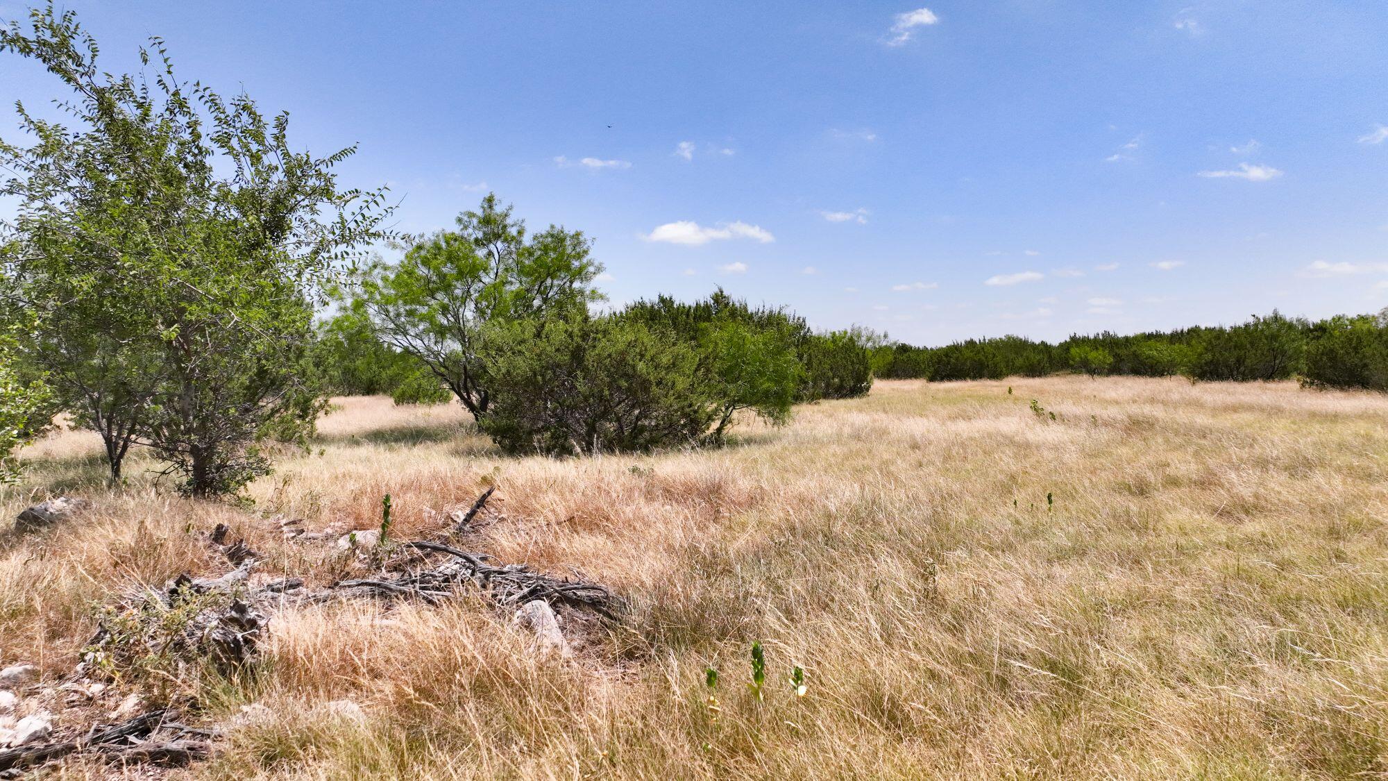 000 Cr 300 Property Photo 13