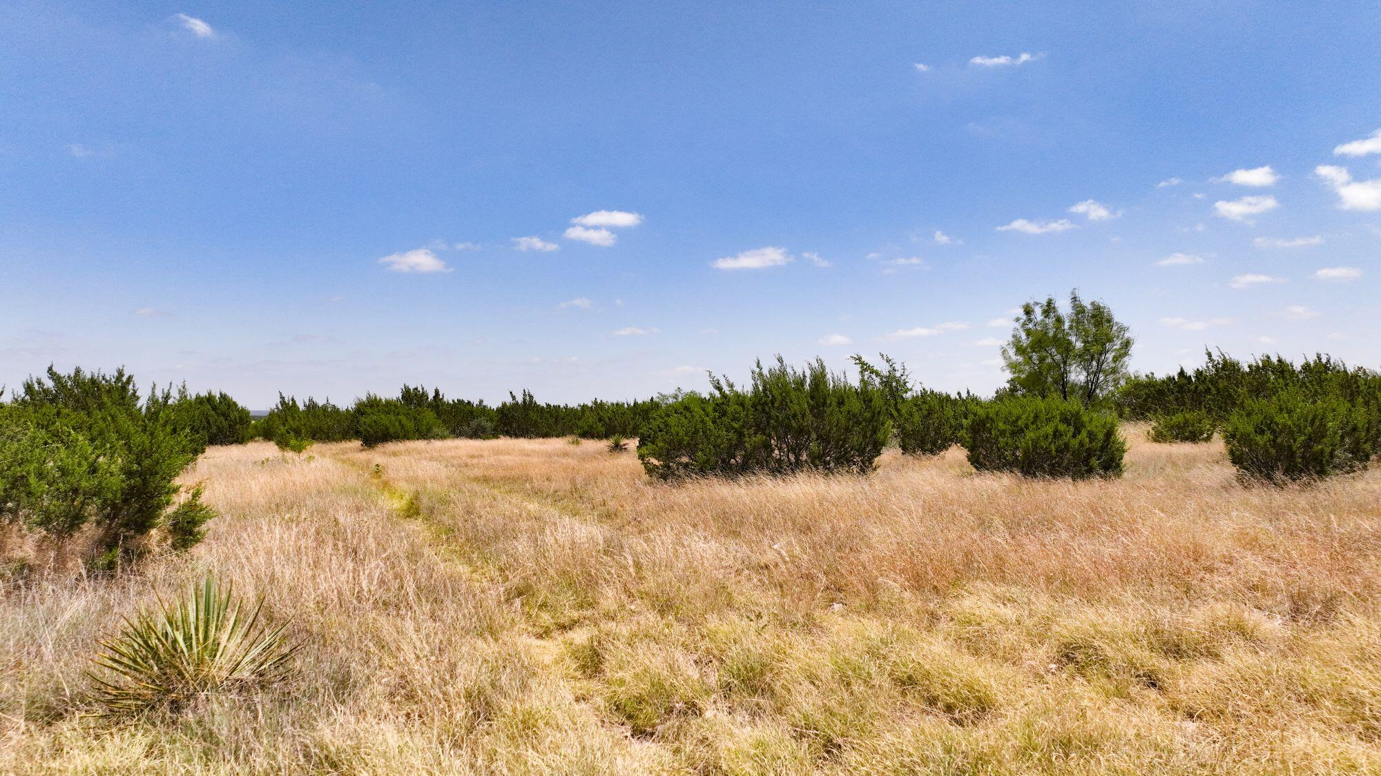 000 Cr 300 Property Photo 14