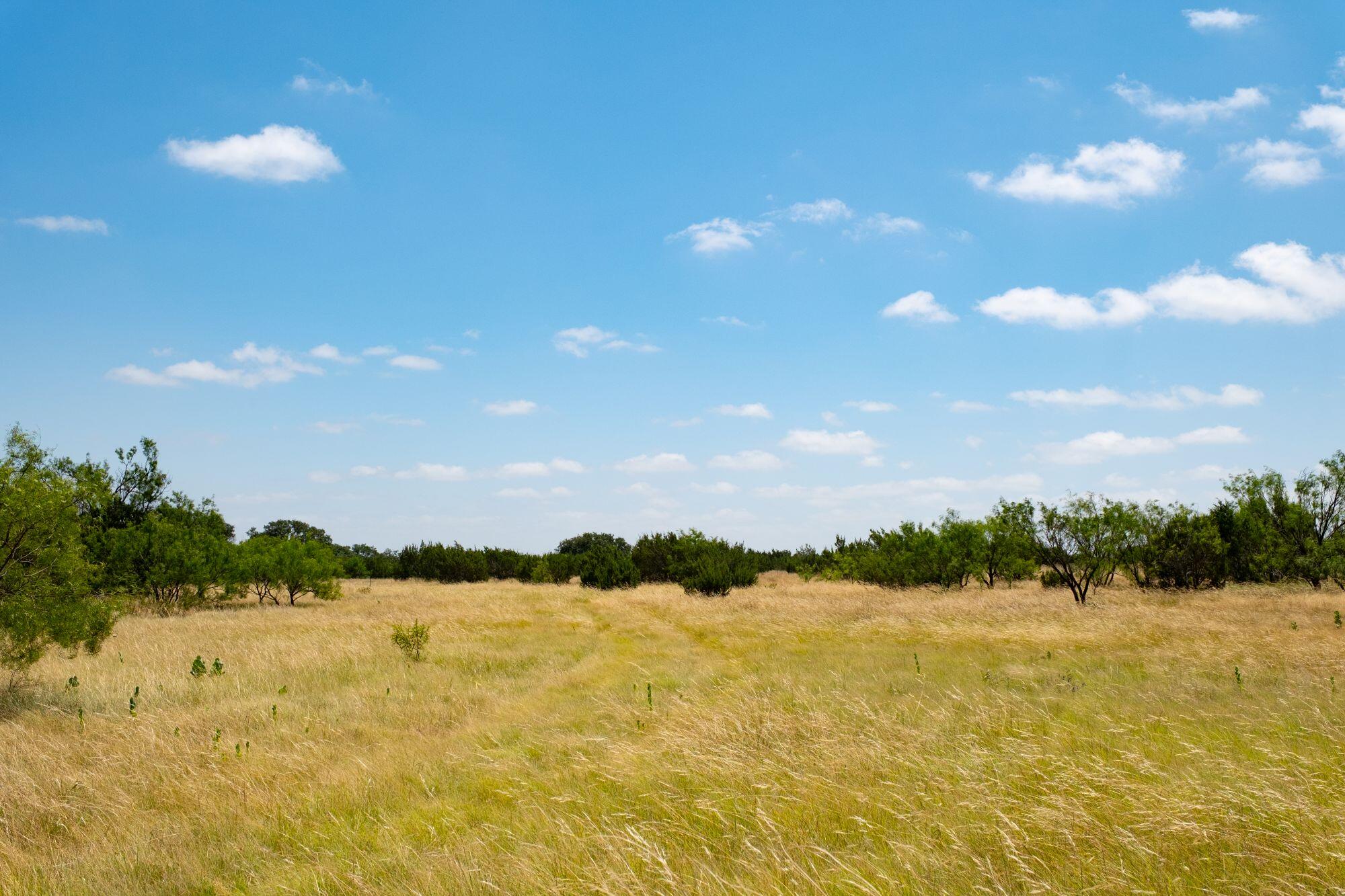 000 Cr 300 Property Photo 15
