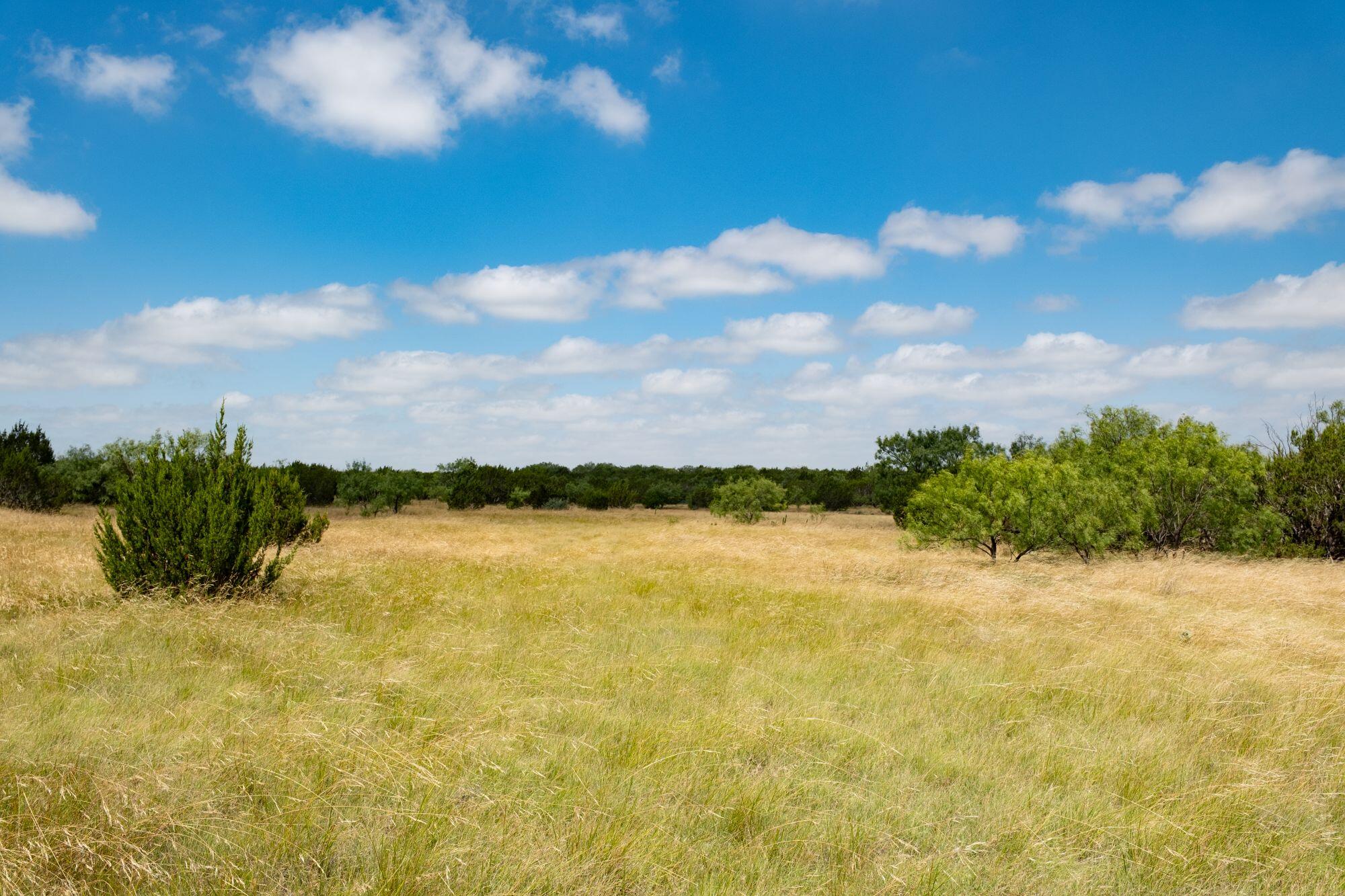 000 Cr 300 Property Photo 17