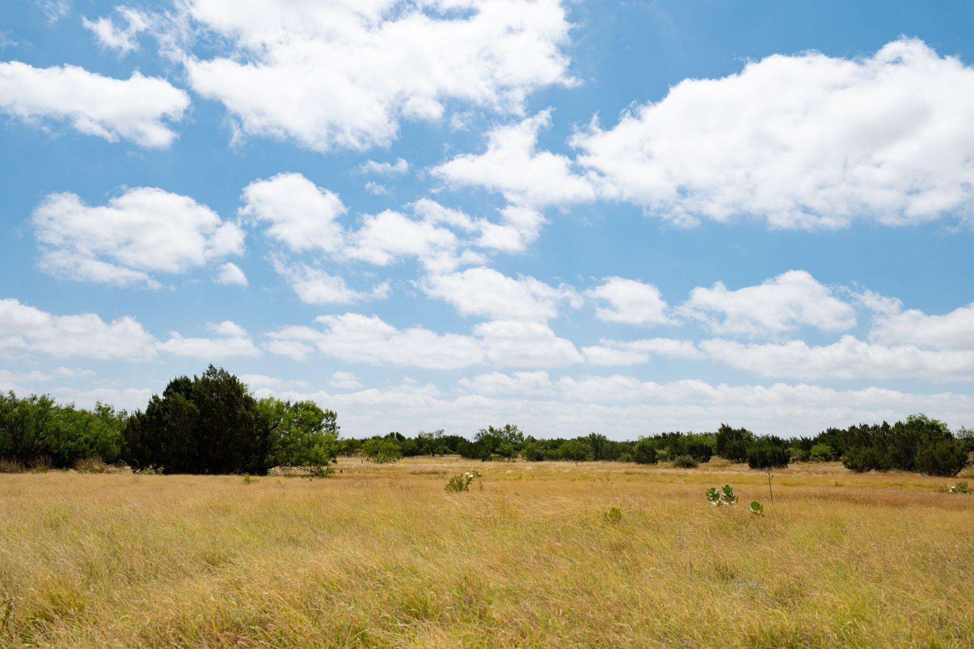 000 Cr 300 Property Photo 18