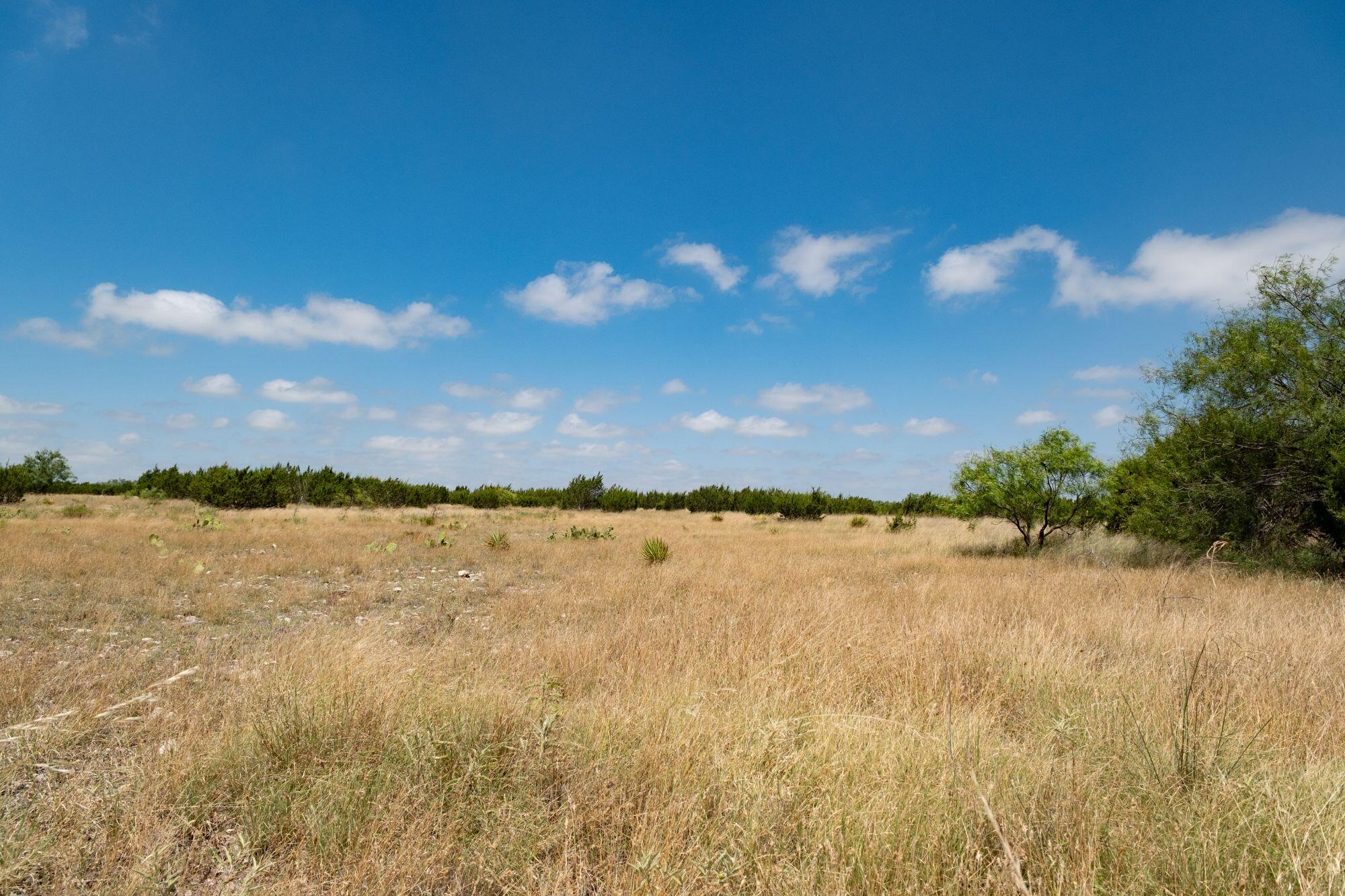 000 Cr 300 Property Photo 19