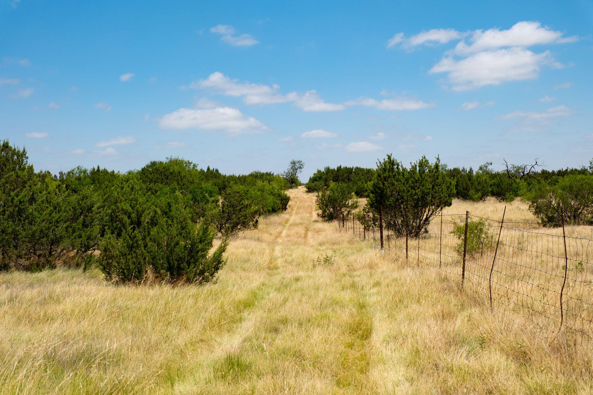 000 Cr 300 Property Photo 20