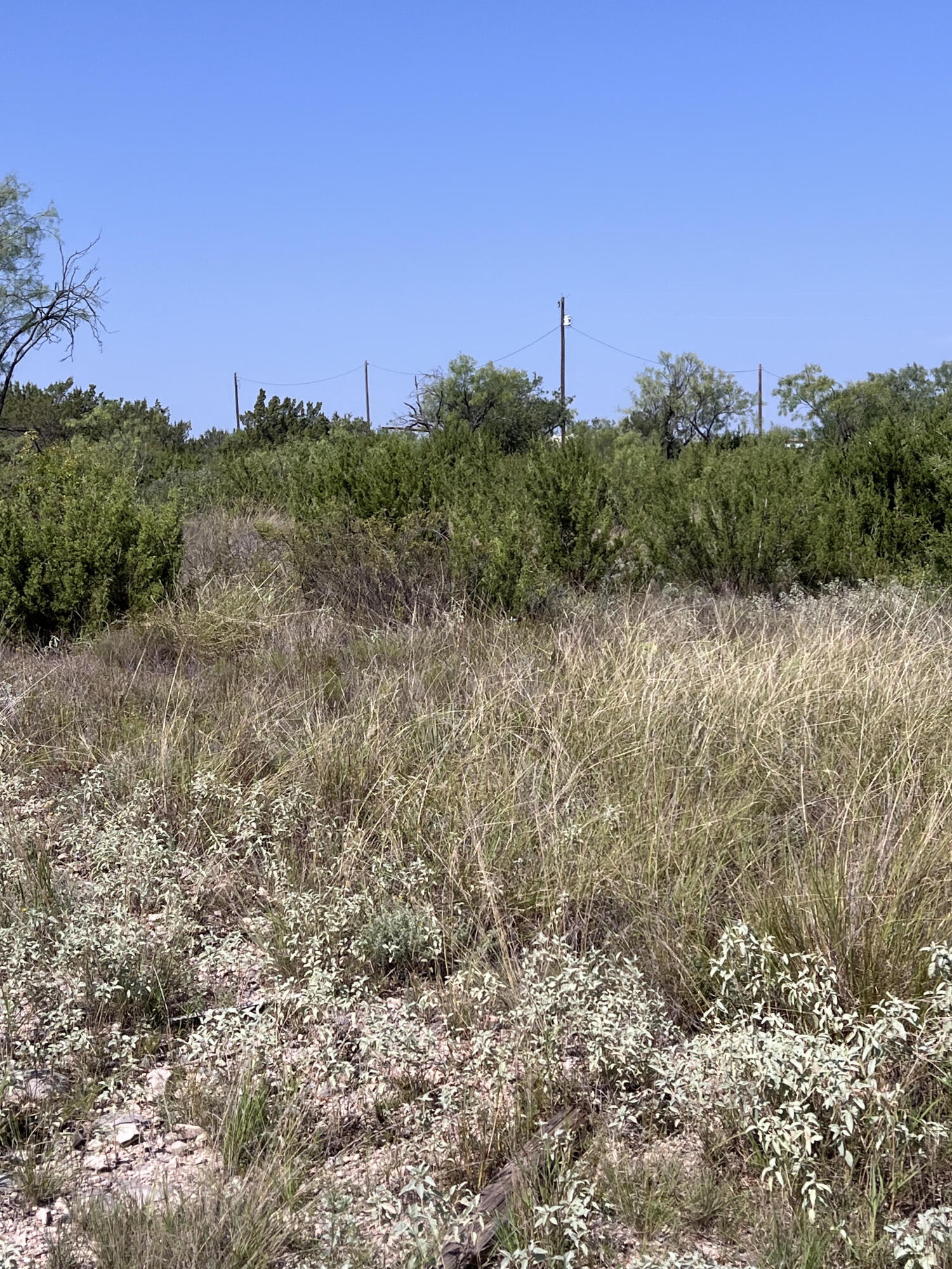 21008 Frank Road Property Photo 1