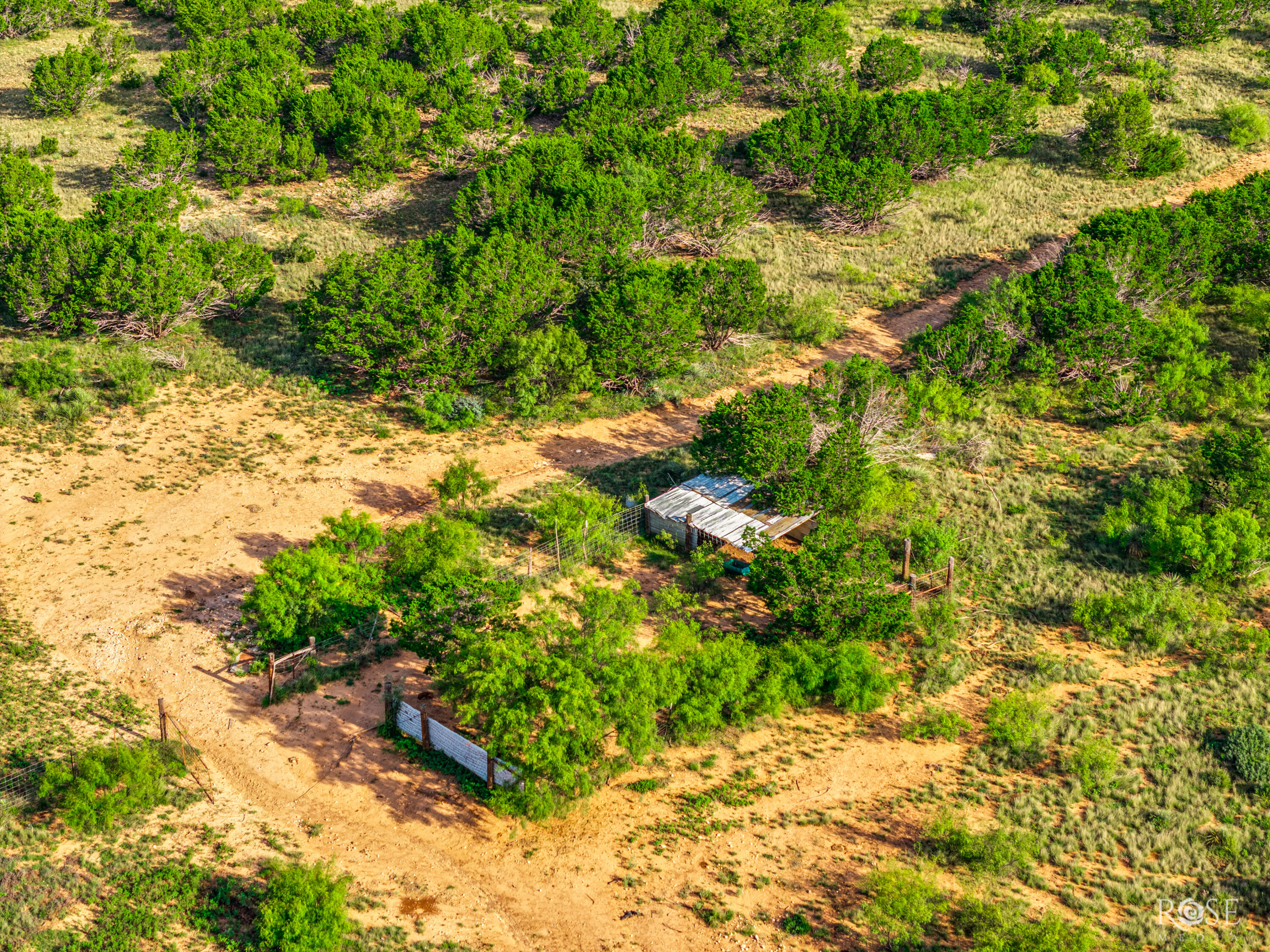 11742 Texas 29 Property Photo 9