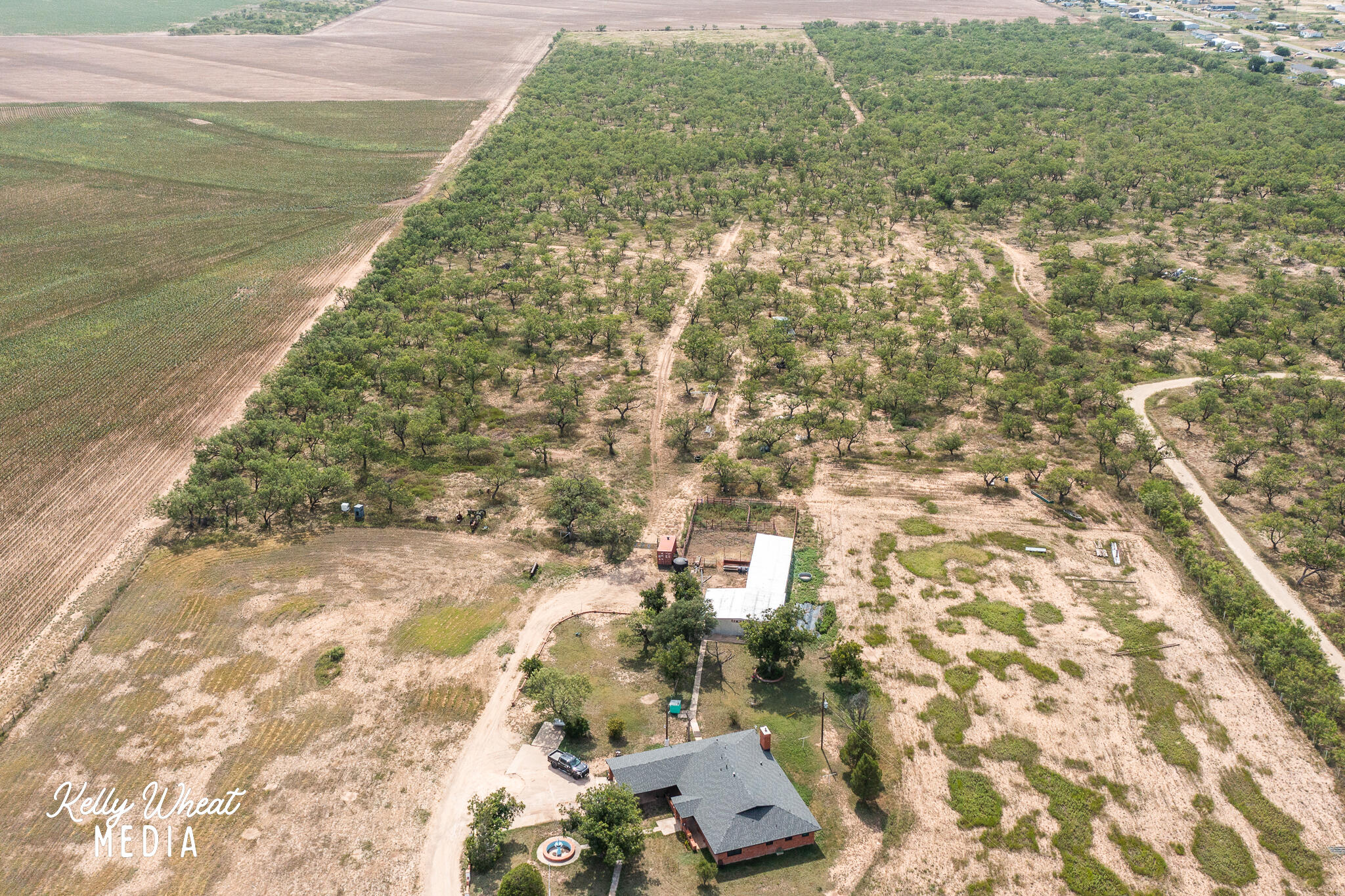 11733 N Walnut Grove Road Property Photo 19