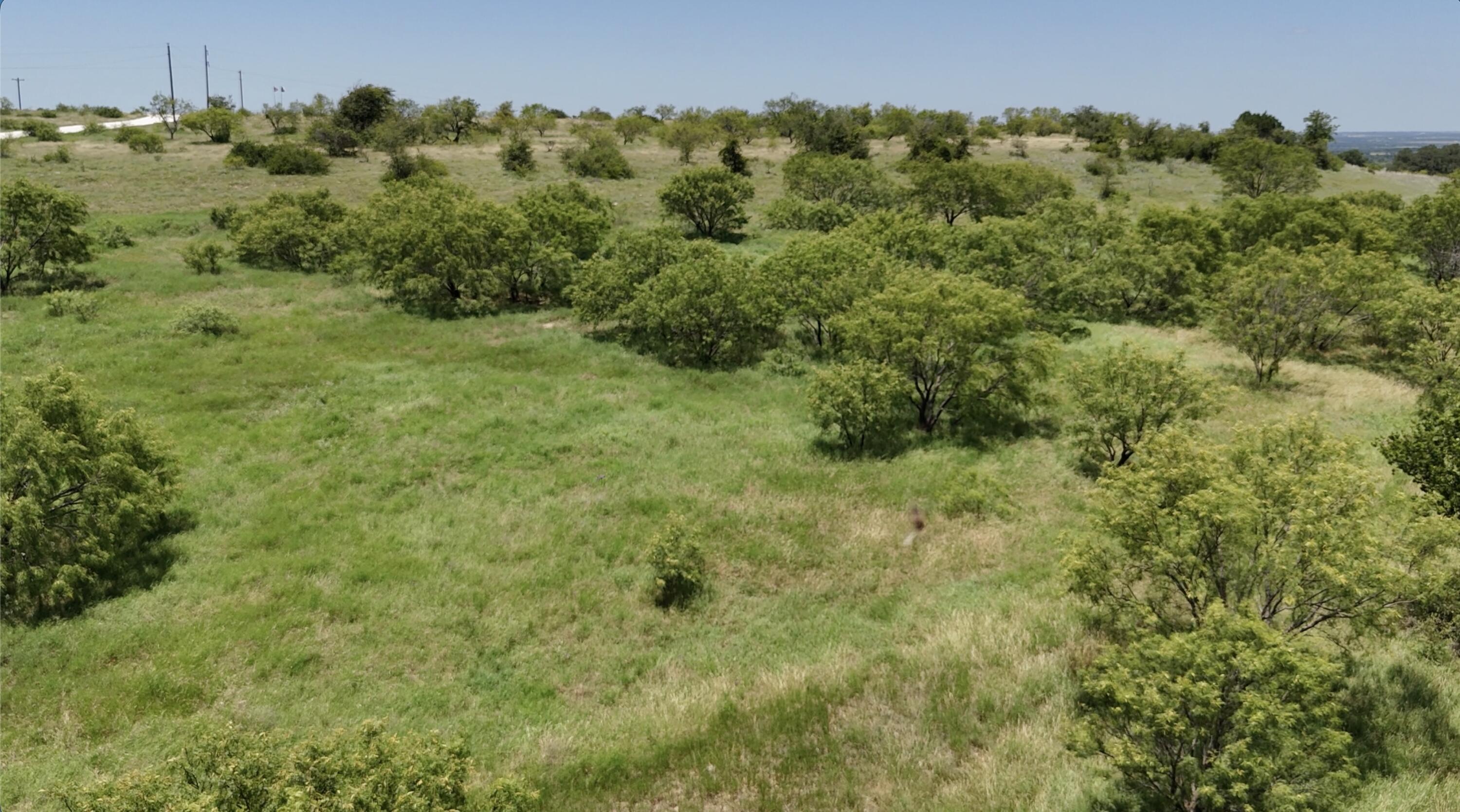 11 Mystic Mountain Drive Property Photo 1