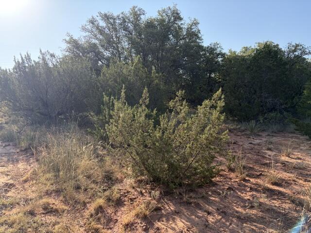 2400 N Hwy 277 Property Photo 20