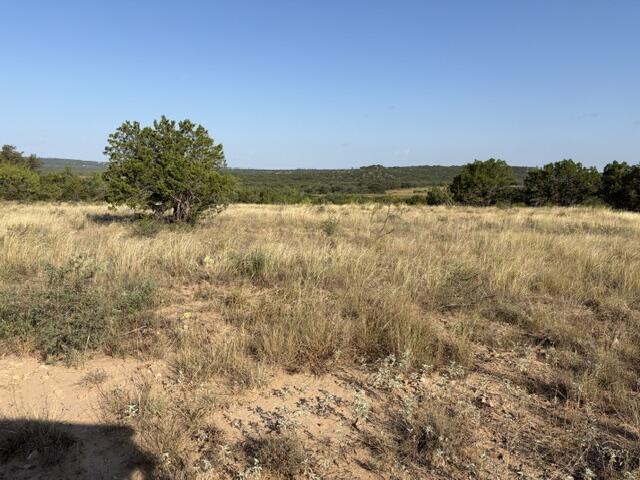 2400 N Hwy 277 Property Photo 29