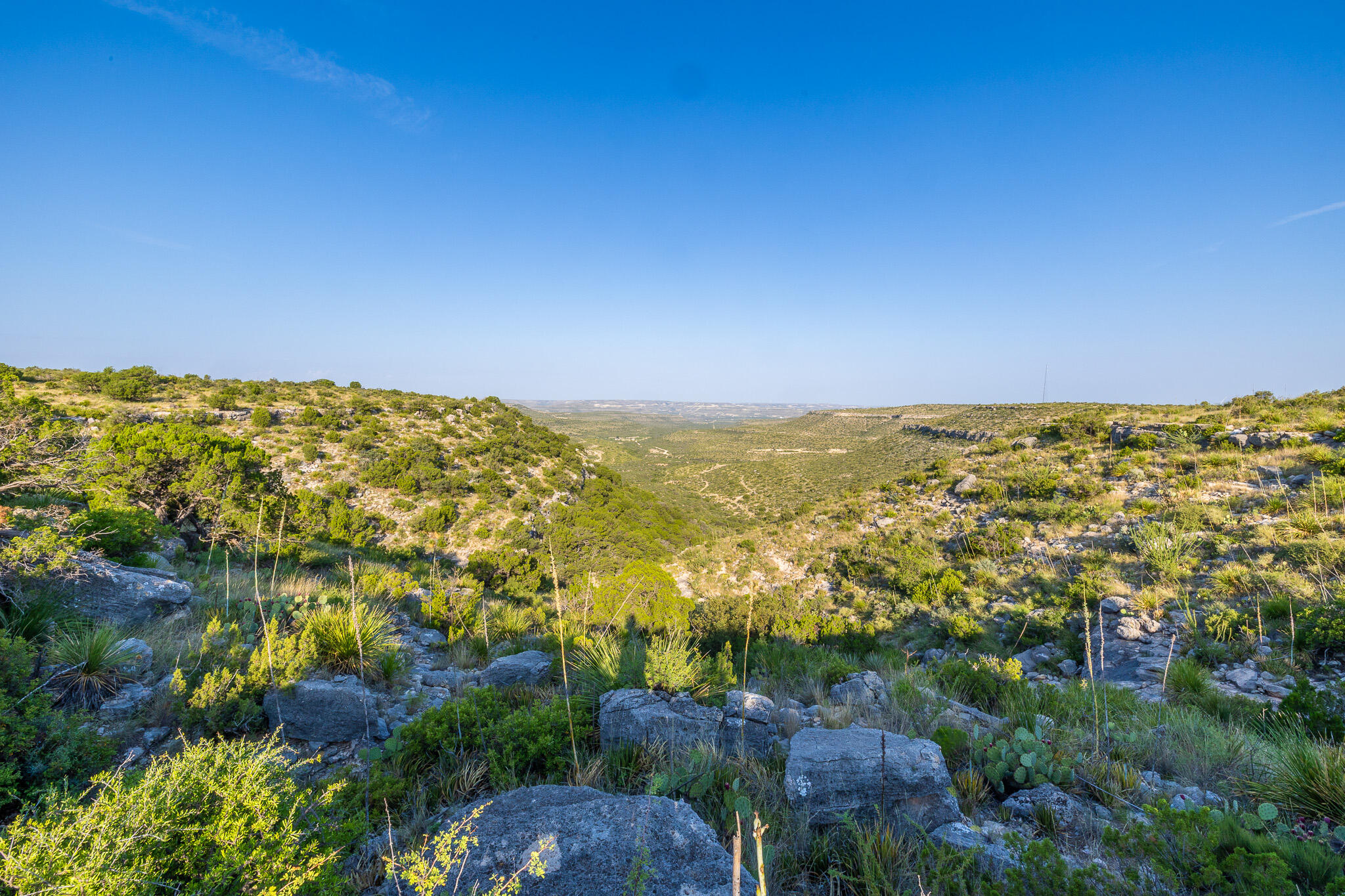 Tbd Bear Canyon Road Property Photo 11