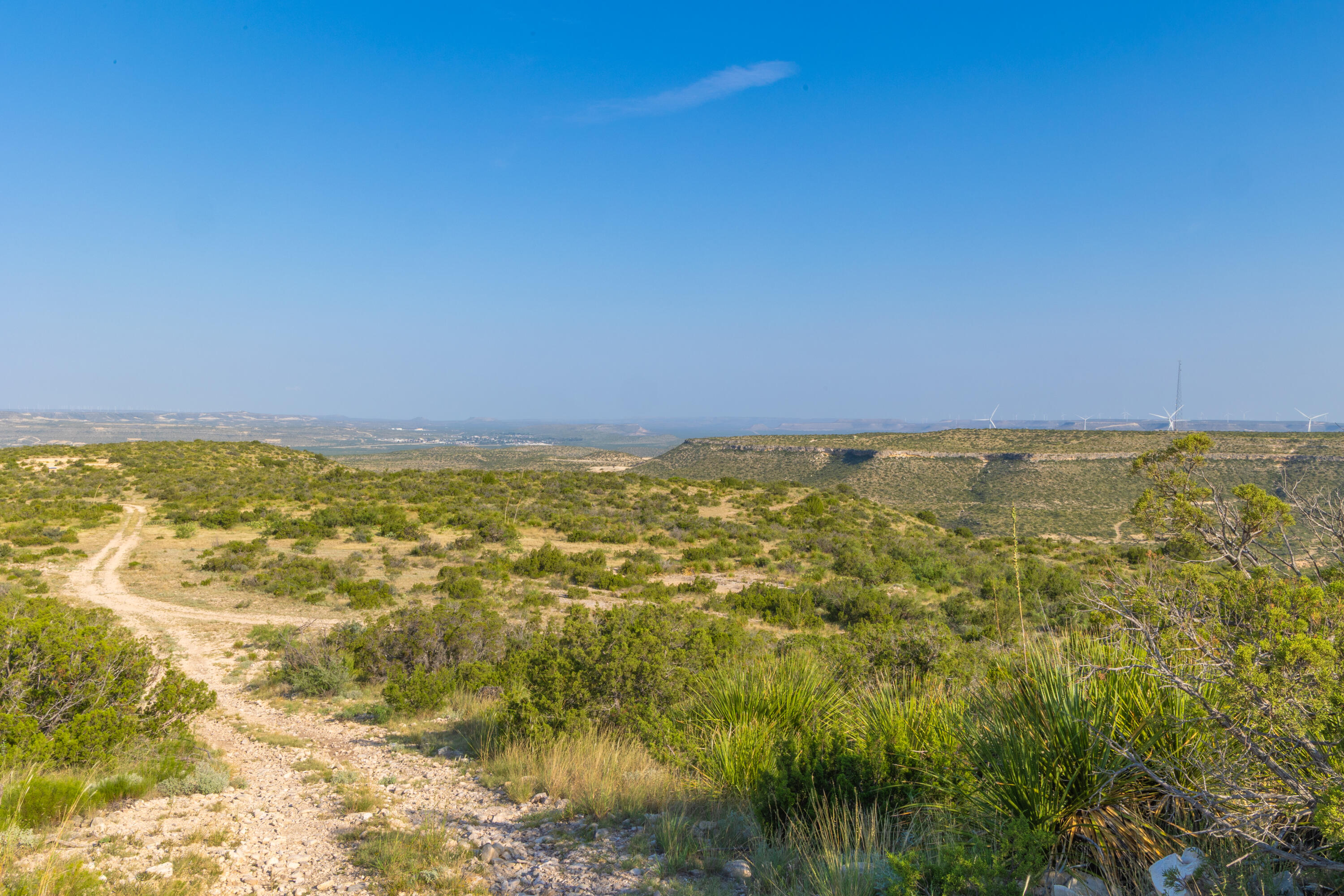 Tbd Bear Canyon Road Property Photo 13