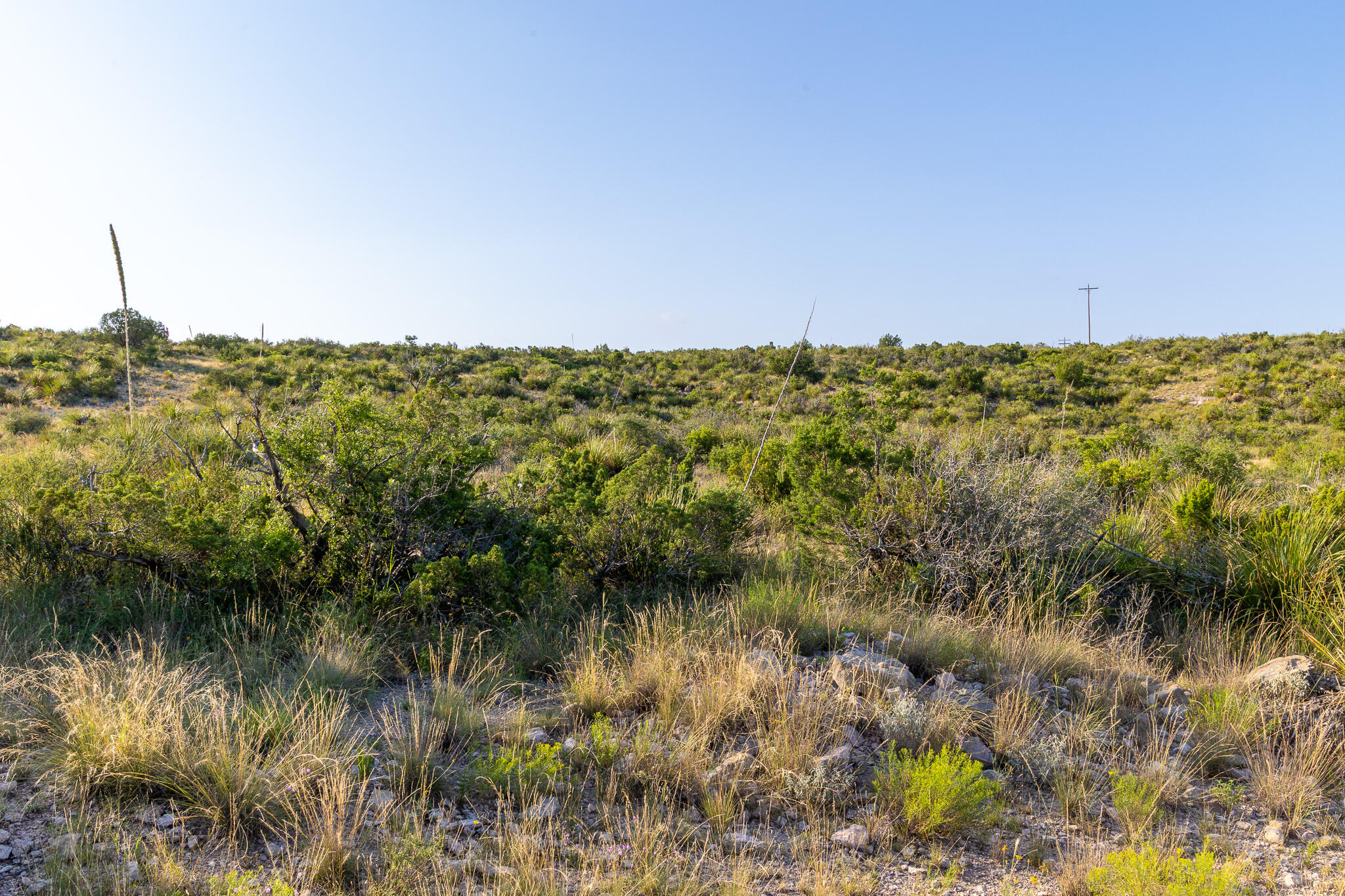 Tbd Bear Canyon Road Property Photo 19