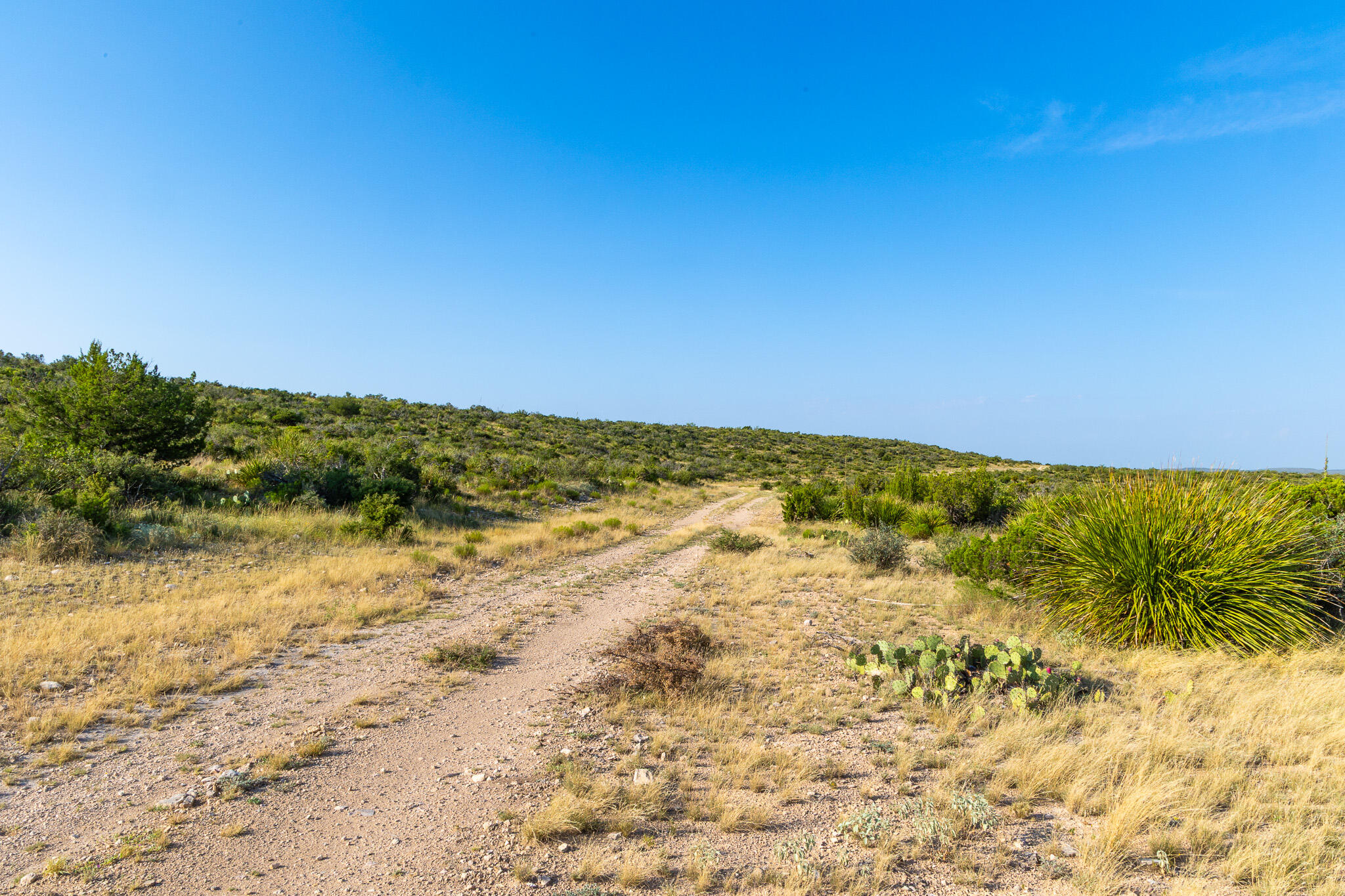 Tbd Bear Canyon Road Property Photo 25