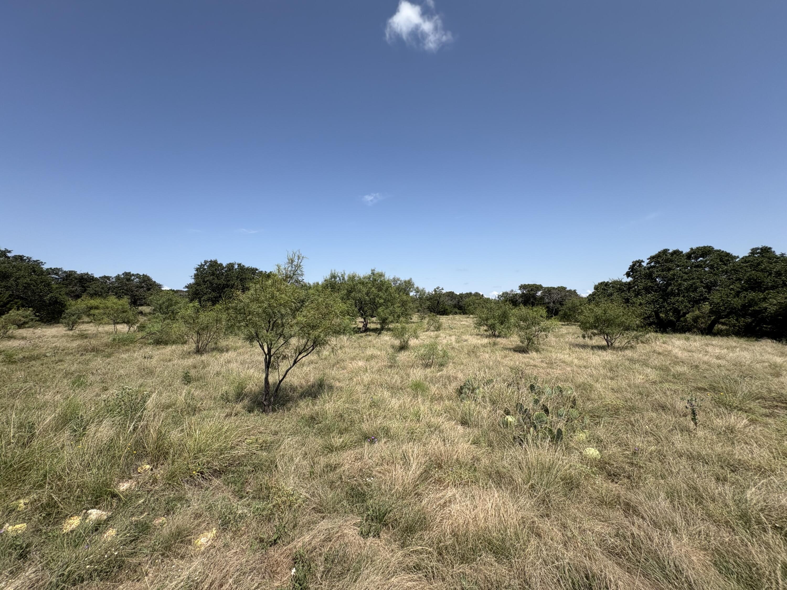 2588 Elm Spgs Trail Property Photo 7