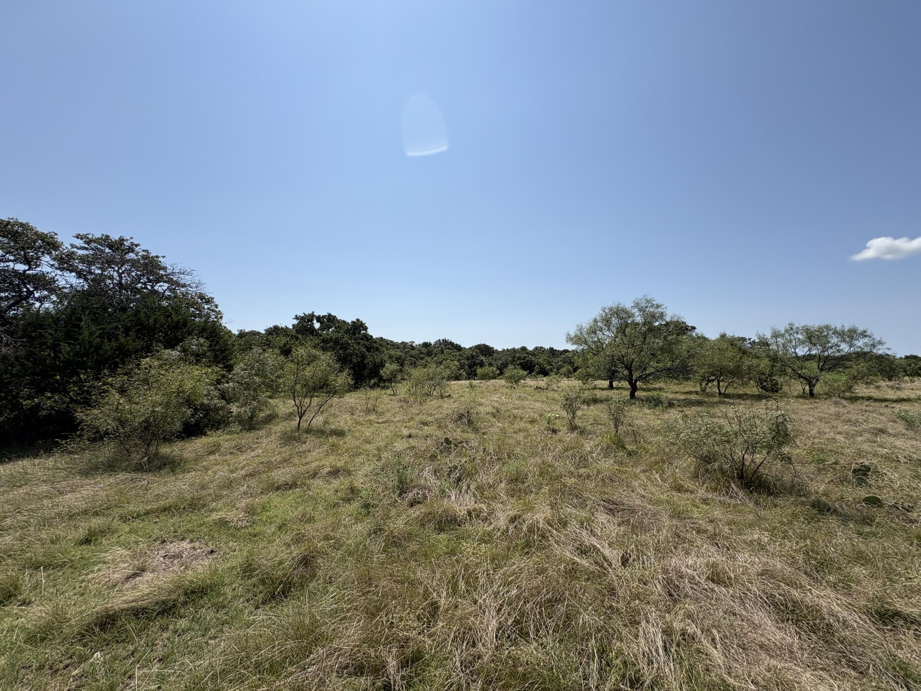 2588 Elm Spgs Trail Property Photo 8