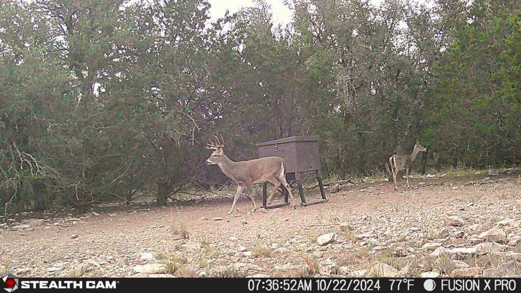 1512 Persimmon Property Photo 11