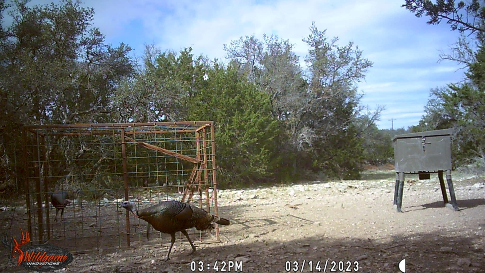 1512 Persimmon Property Photo 13