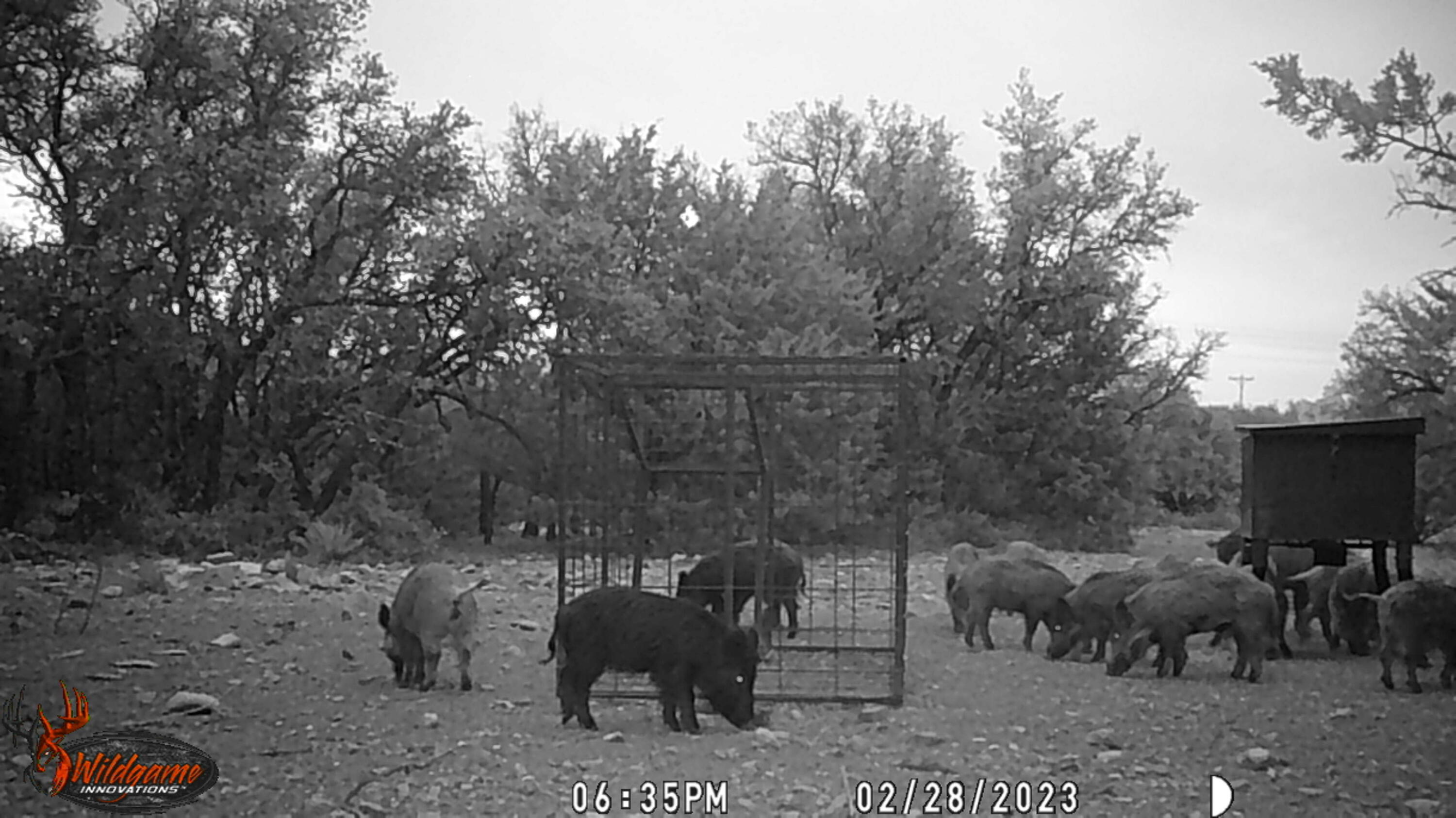 1512 Persimmon Property Photo 14