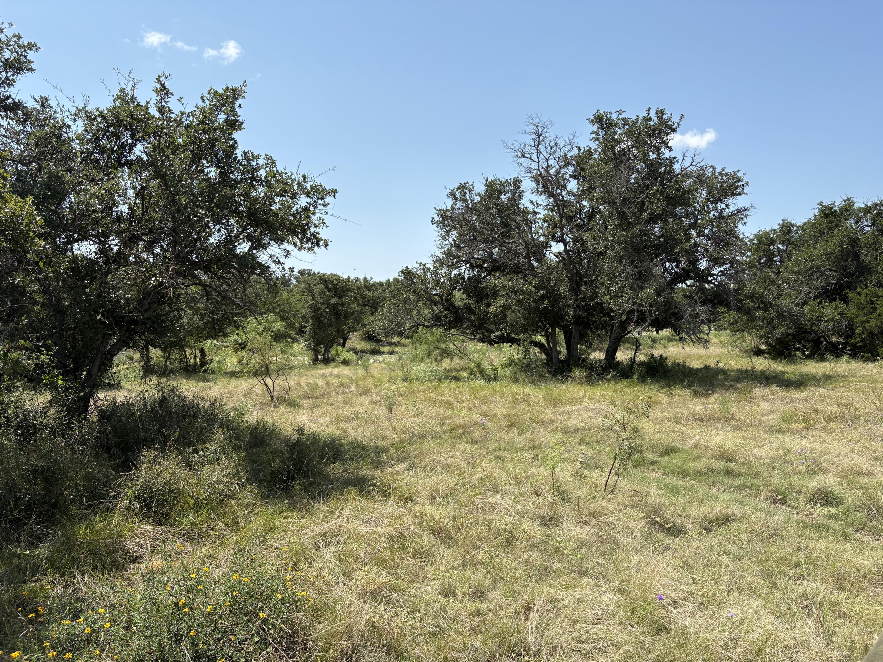 Tract 23 & 24 Elm Spgs Trail Property Photo 3