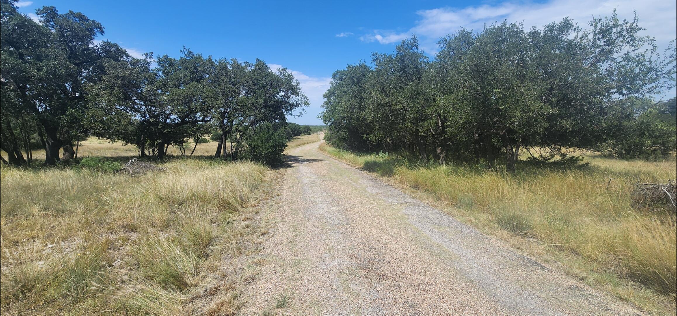 6343 County Road 101 Property Photo 6