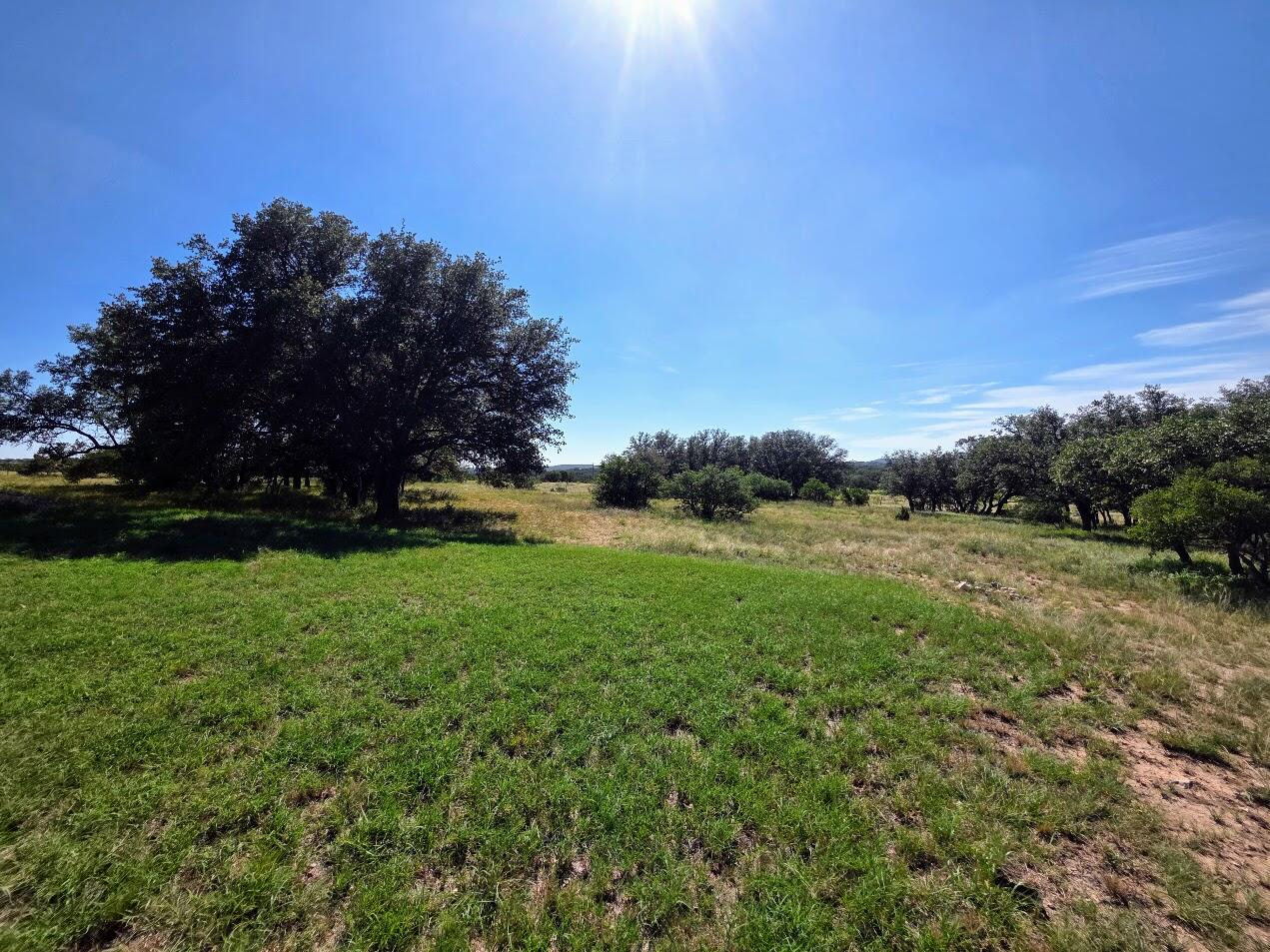 6343 County Road 101 Property Photo 42
