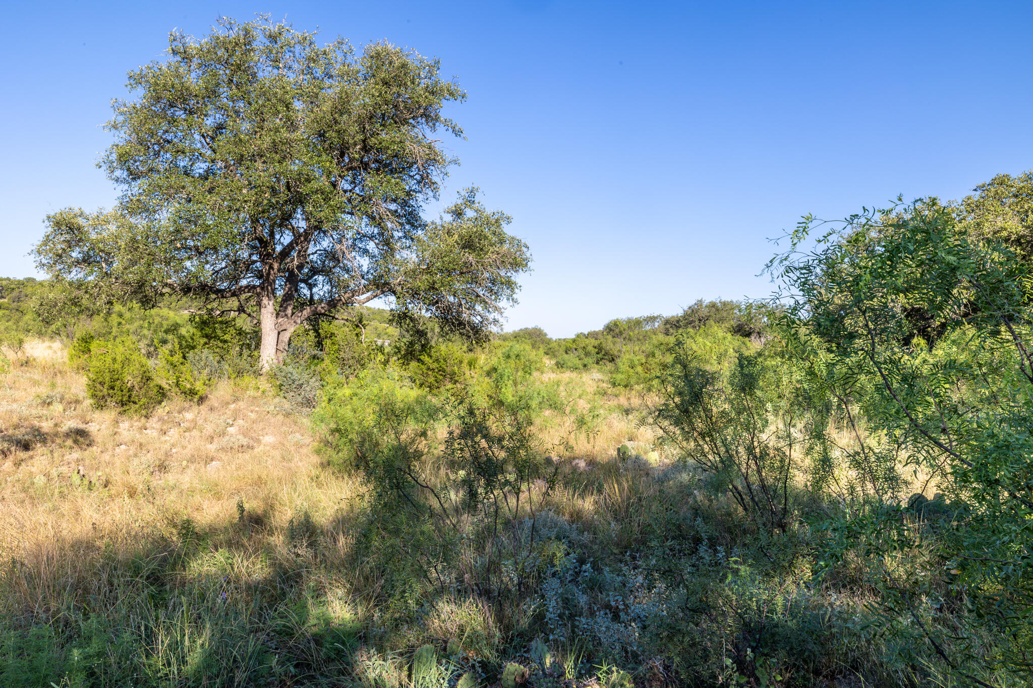 Tbd Redbud Rd. Property Photo 21