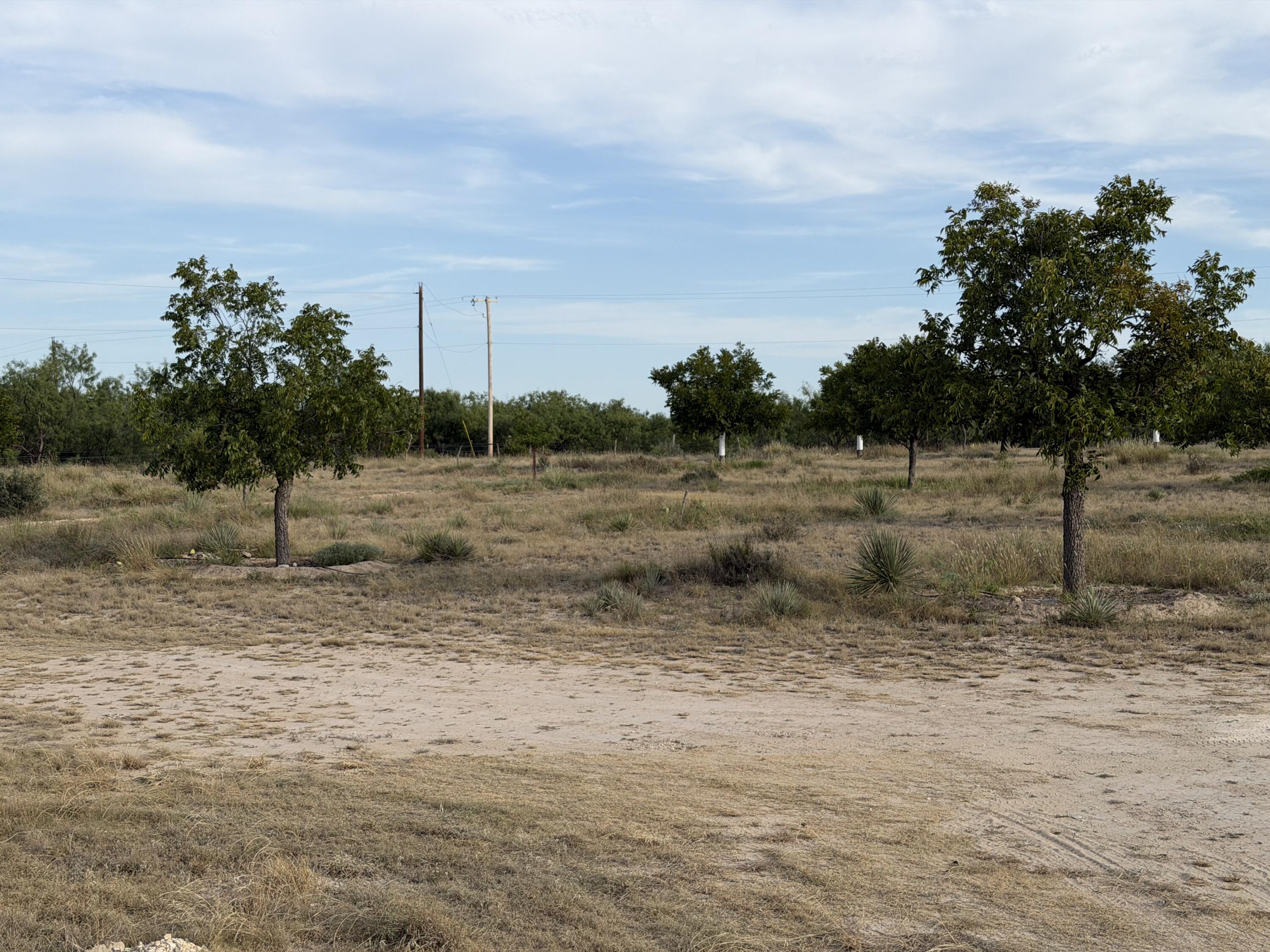 13194 Spring Creek Lane Property Photo 3