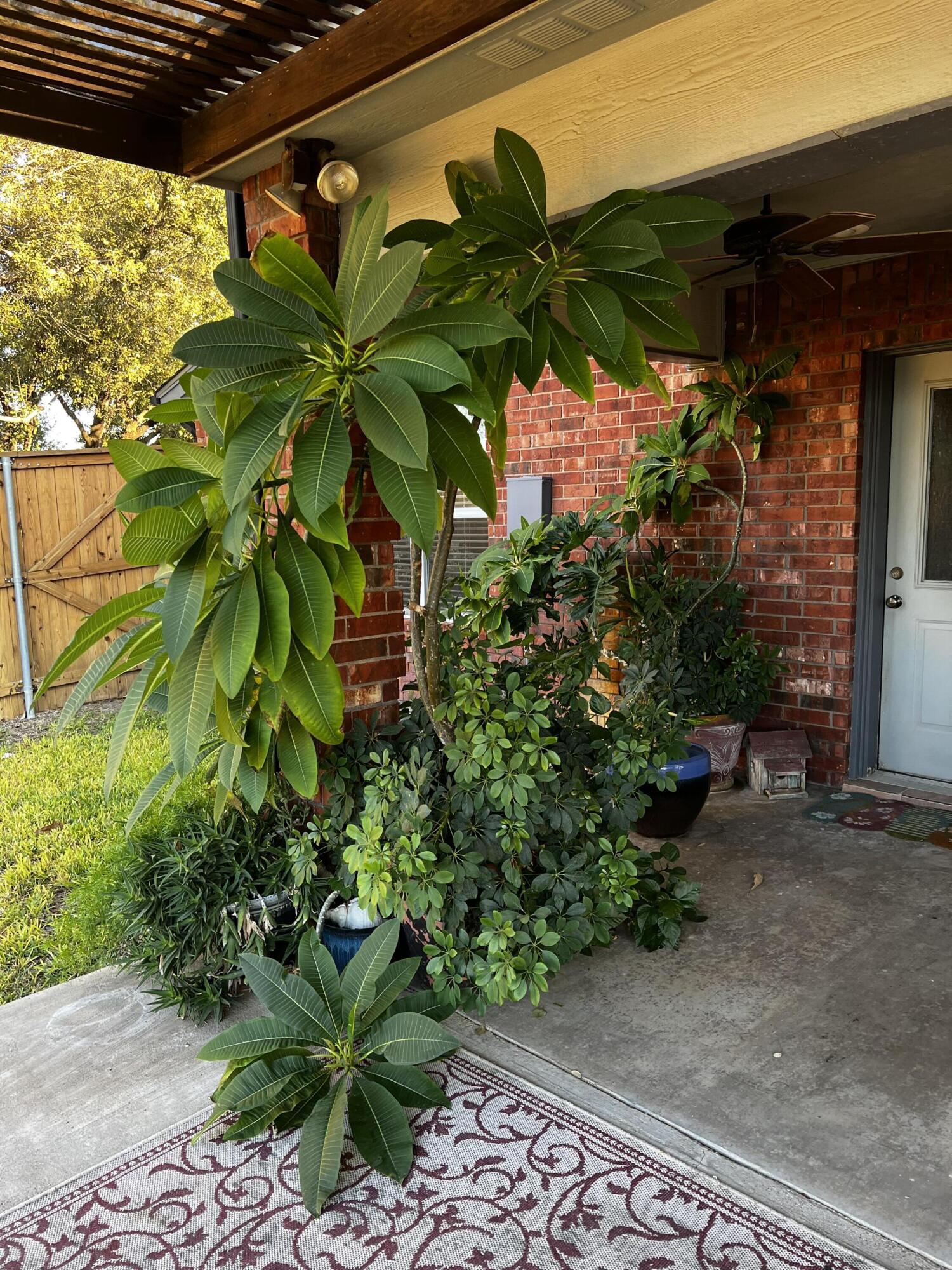 1488 Butler Drive Property Photo 31