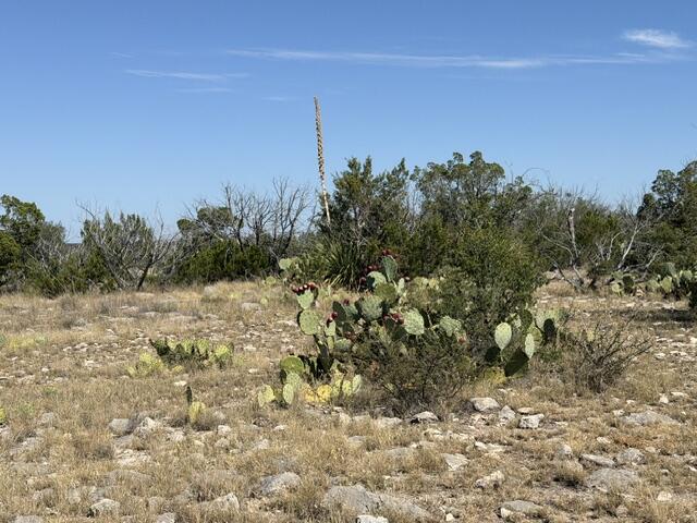 0 High Lonesome Road Property Photo 5