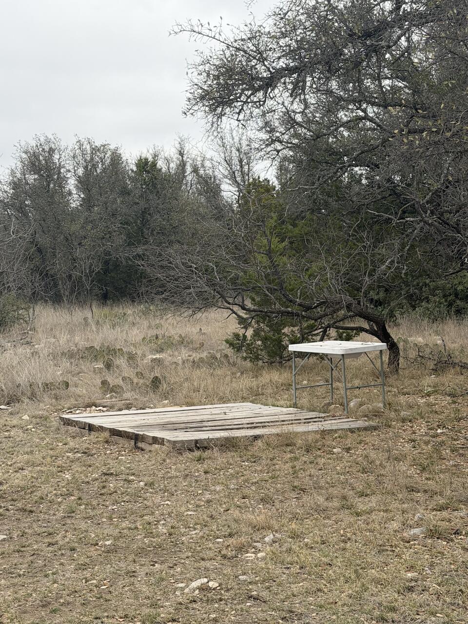 1335 Ocelot Road Property Photo 34
