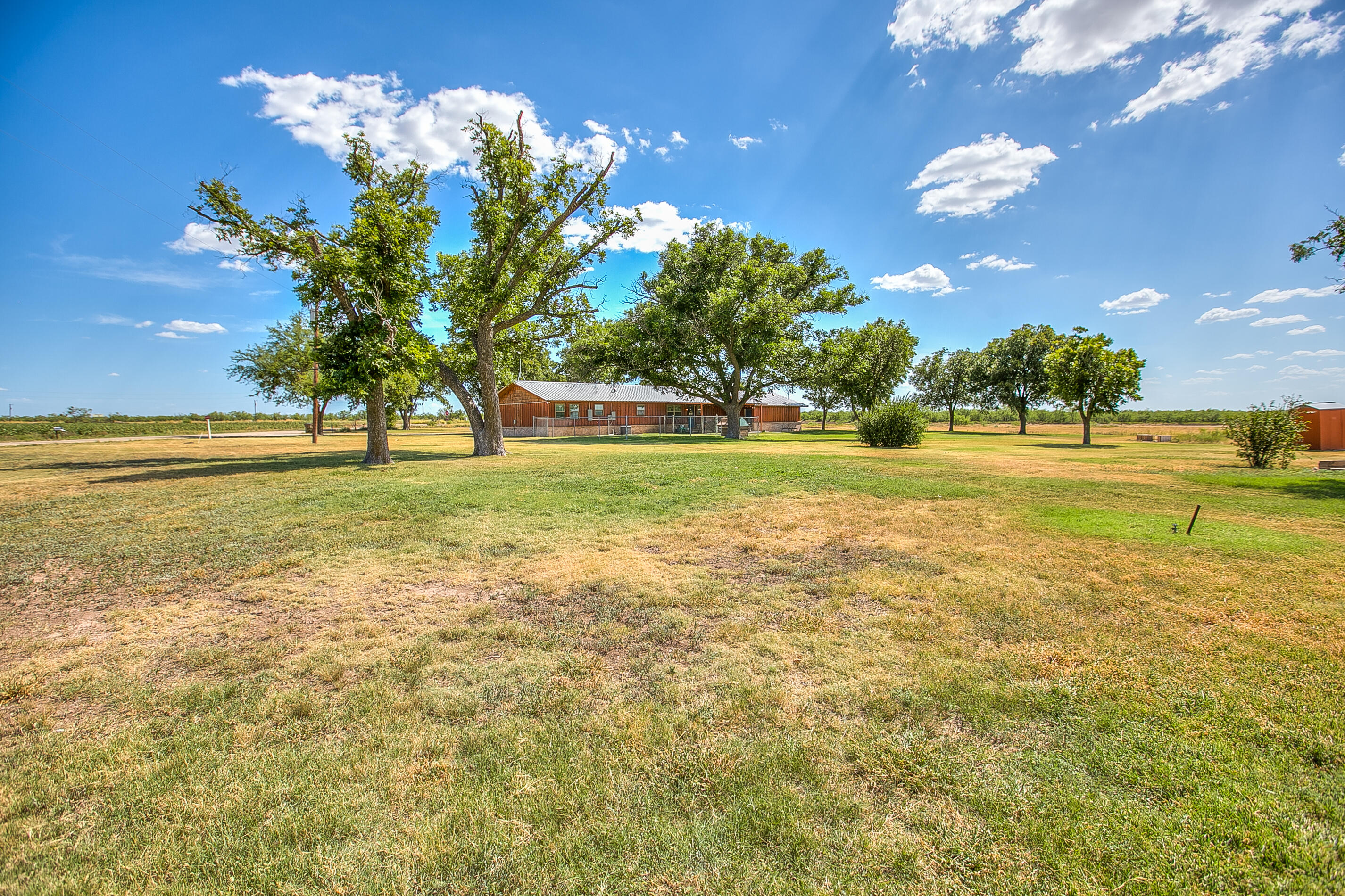 4373 Third Road Property Photo 13