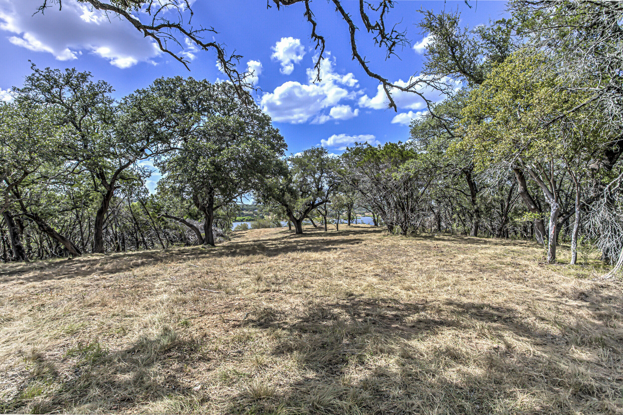 920 Boultinghouse Property Photo 5