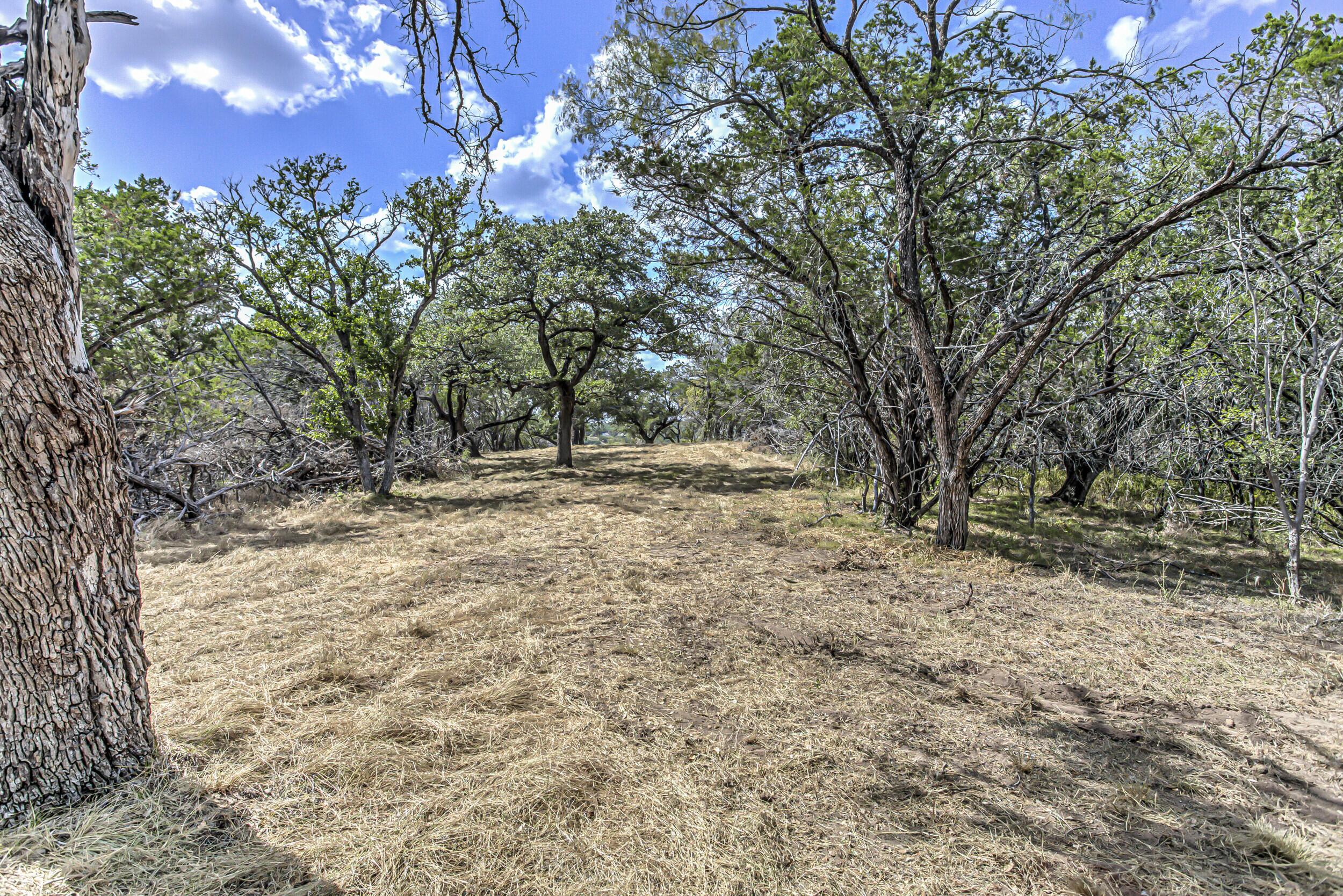 920 Boultinghouse Property Photo 6