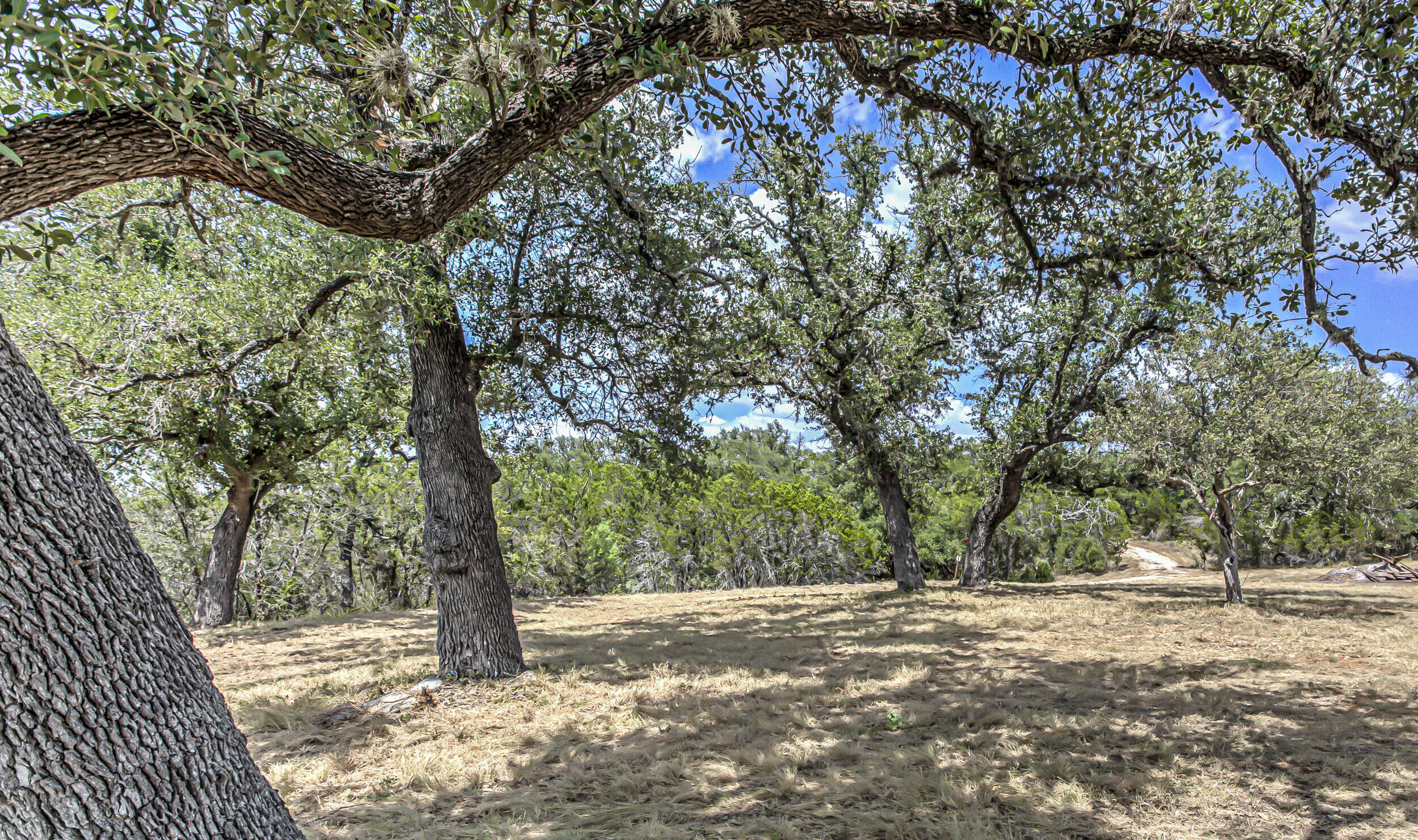 920 Boultinghouse Property Photo 7