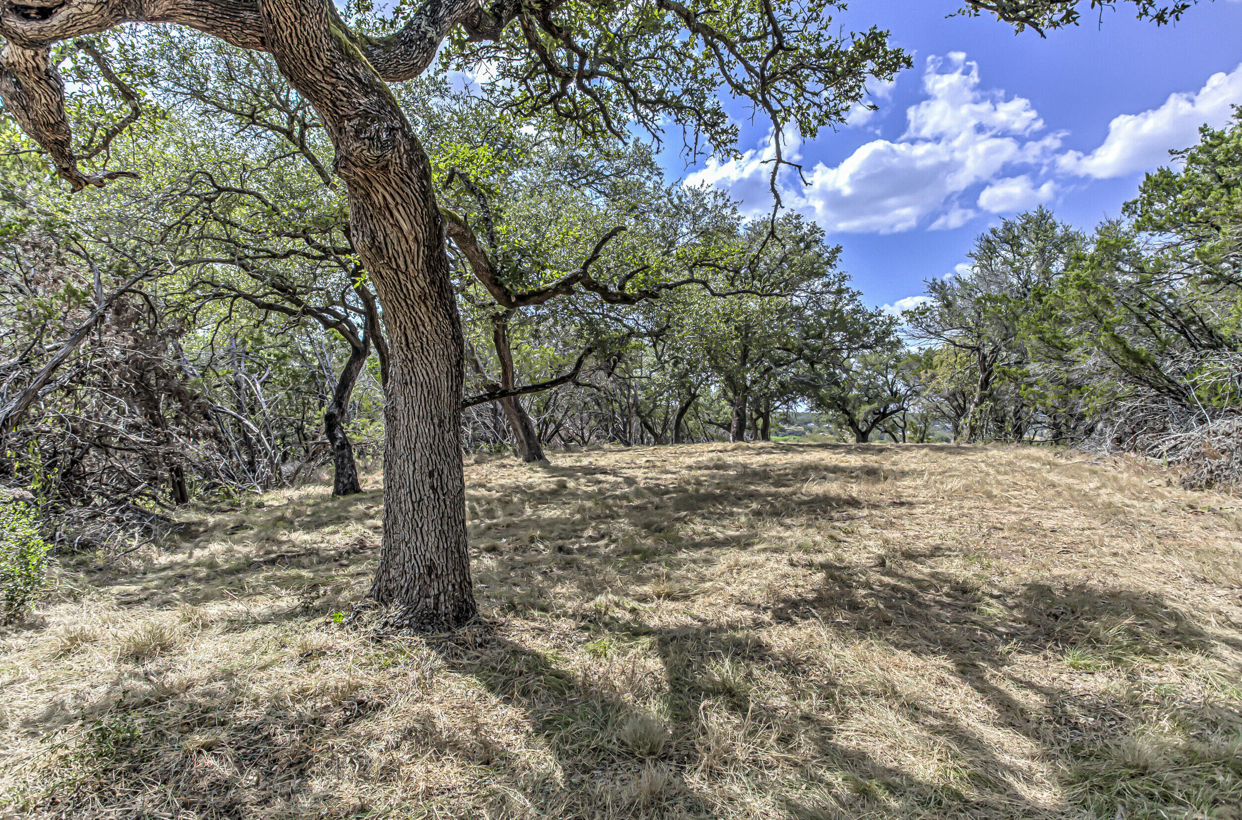920 Boultinghouse Property Photo 8