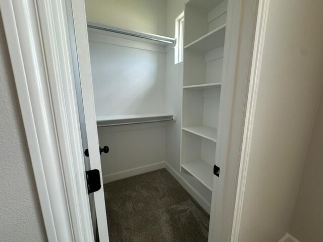5912 112th Street Property Photo 29
