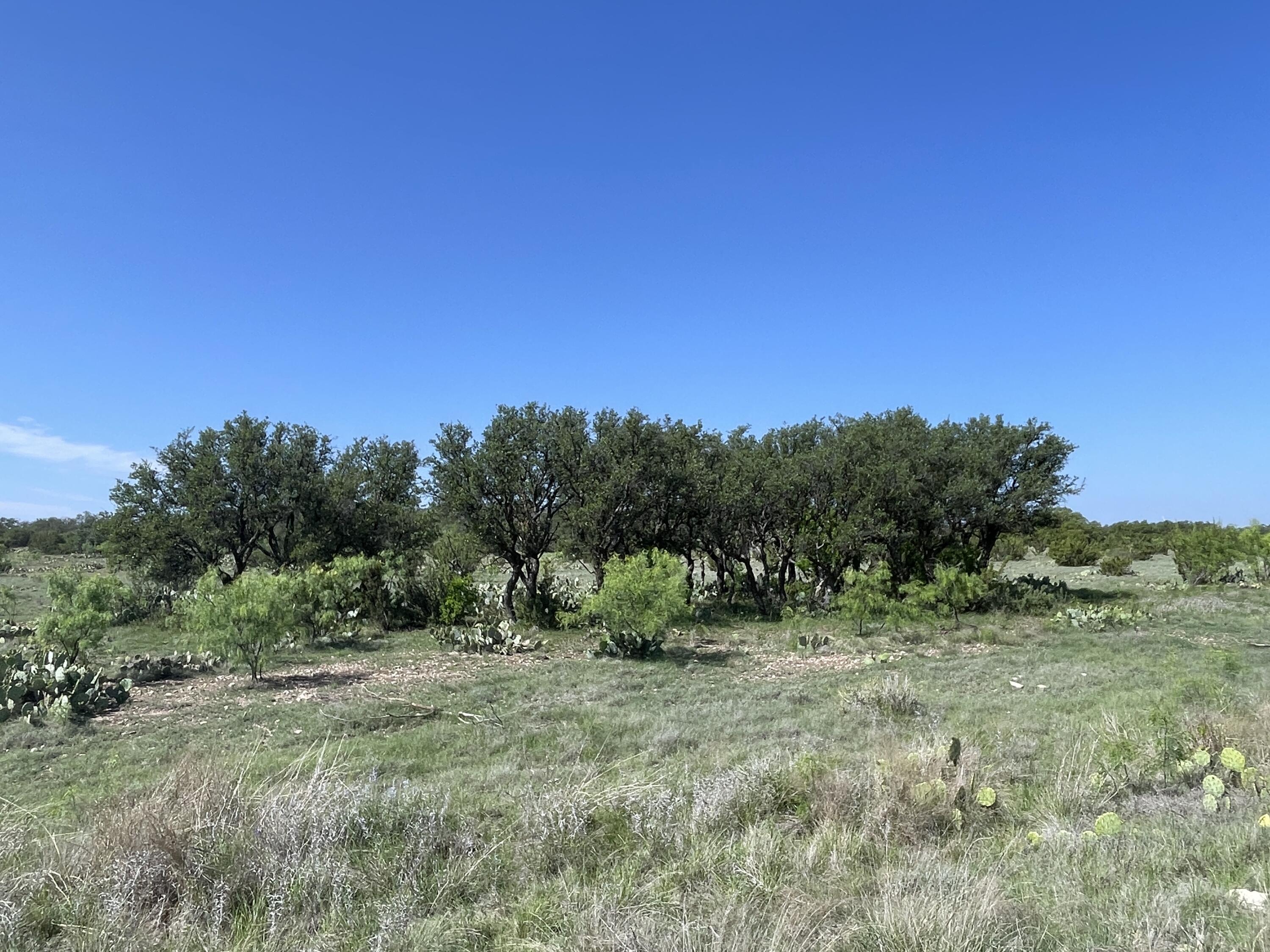 9534 Duff Road Property Photo 3