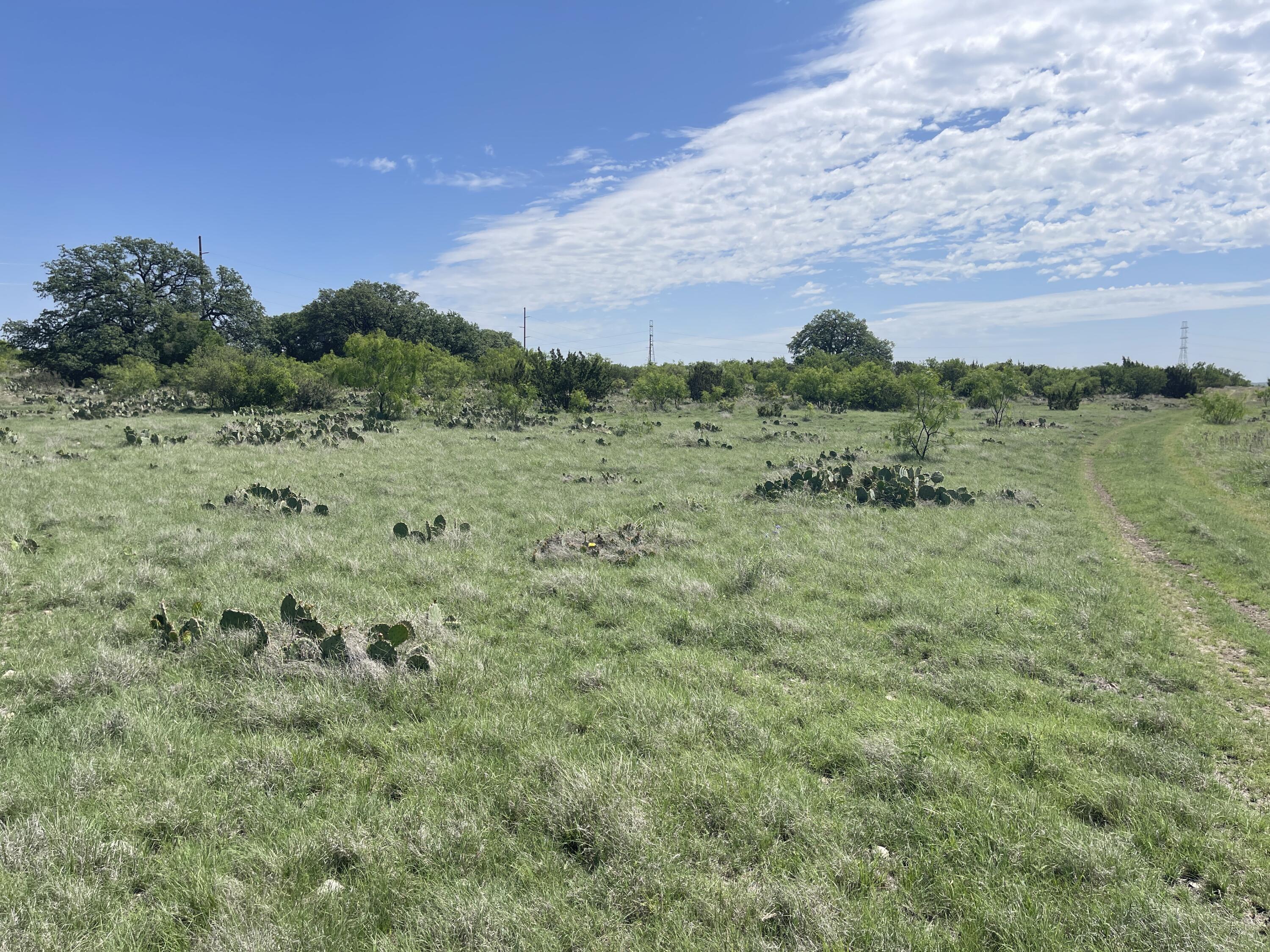 9534 Duff Road Property Photo 4