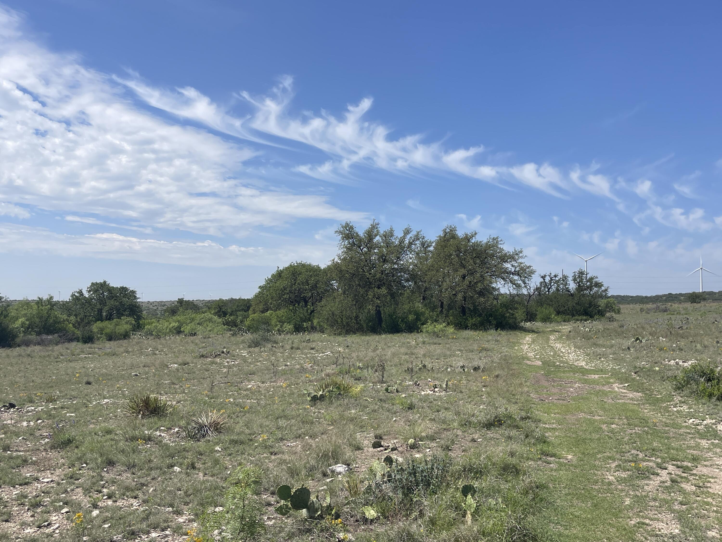 9534 Duff Road Property Photo 5